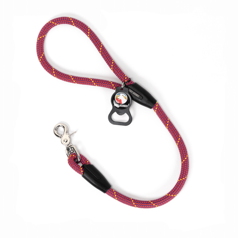 2' Dog Traffic Lead - Pinks/Purples