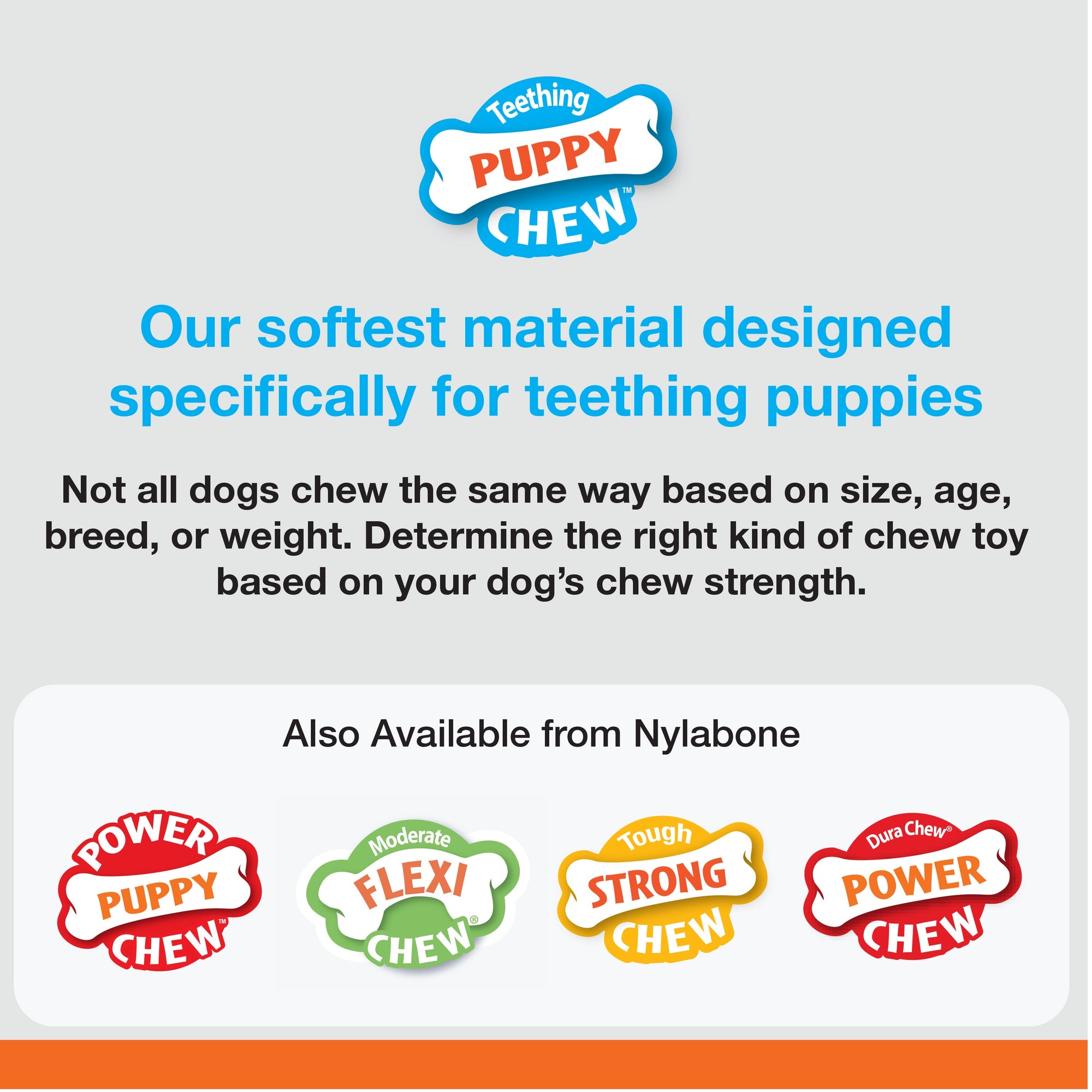 Nylabone Puppybone Blister Card Wolf