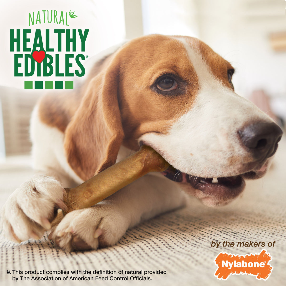 Nylabone Healthy Edibles AllNatural Long Lasting Bacon Chew Treats Bacon, Medium/Wolf Up To 35 Lbs. 1 ct