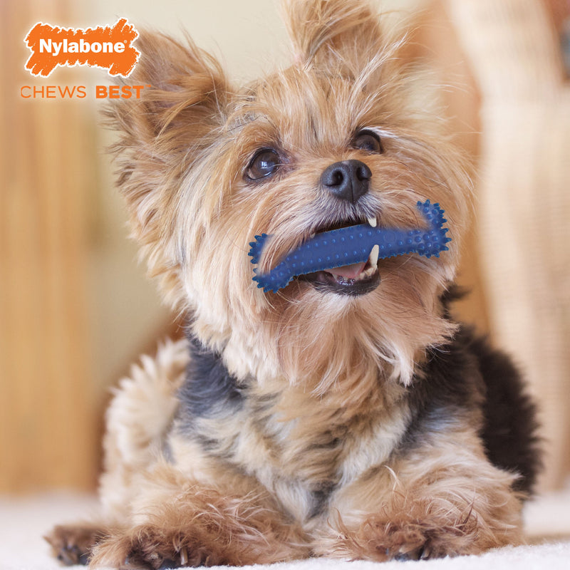 Nylabone Moderate Chew Textured Dog Dental Chew Toy Chicken, Blue, 1ea/SMall/Regular Up To 25 Ibs. 1 ct