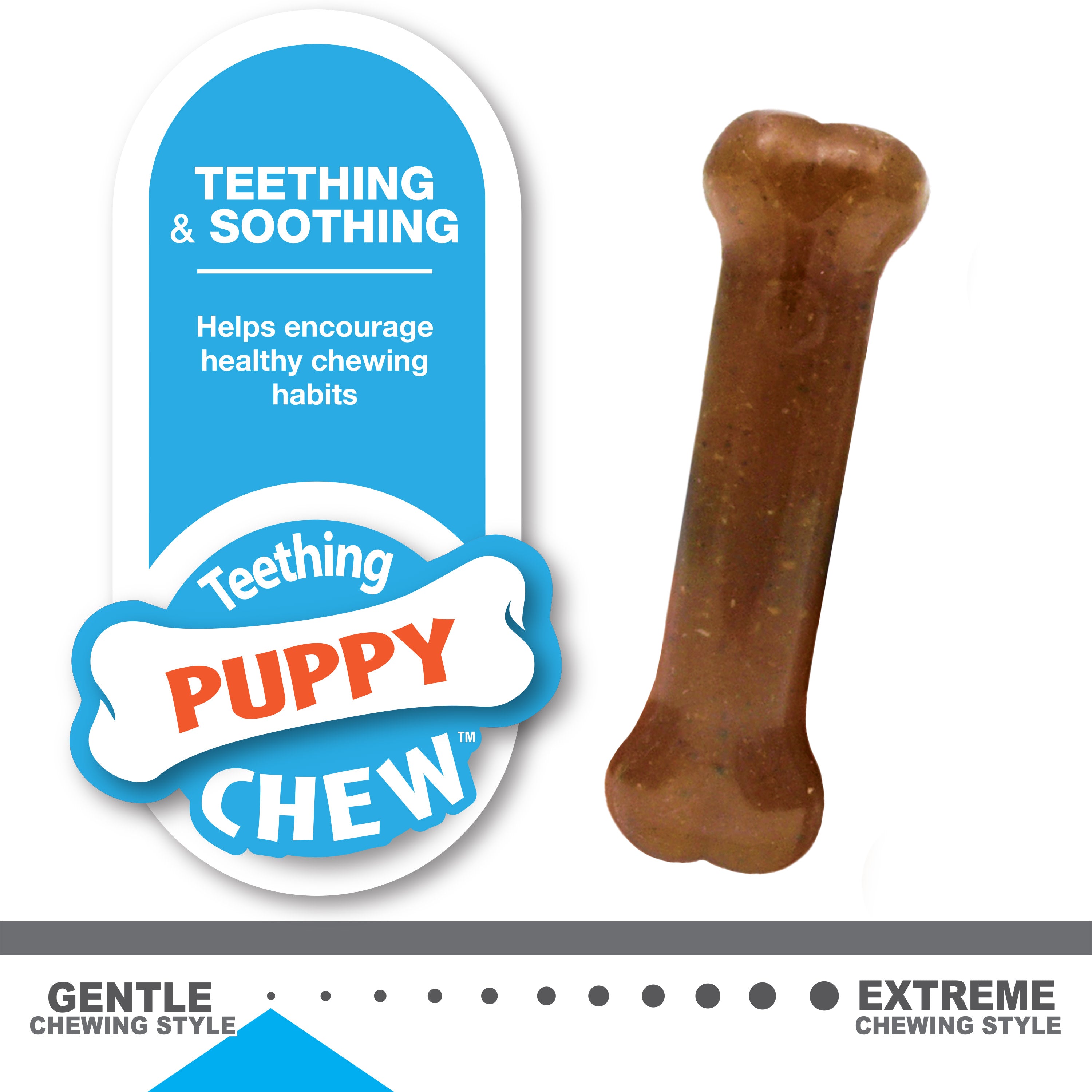 Nylabone Puppy Starter Kit Dog Chew Toys Treat Chicken Bacon, 1ea/SMall/Regular Up To 25 Ibs. 3 ct