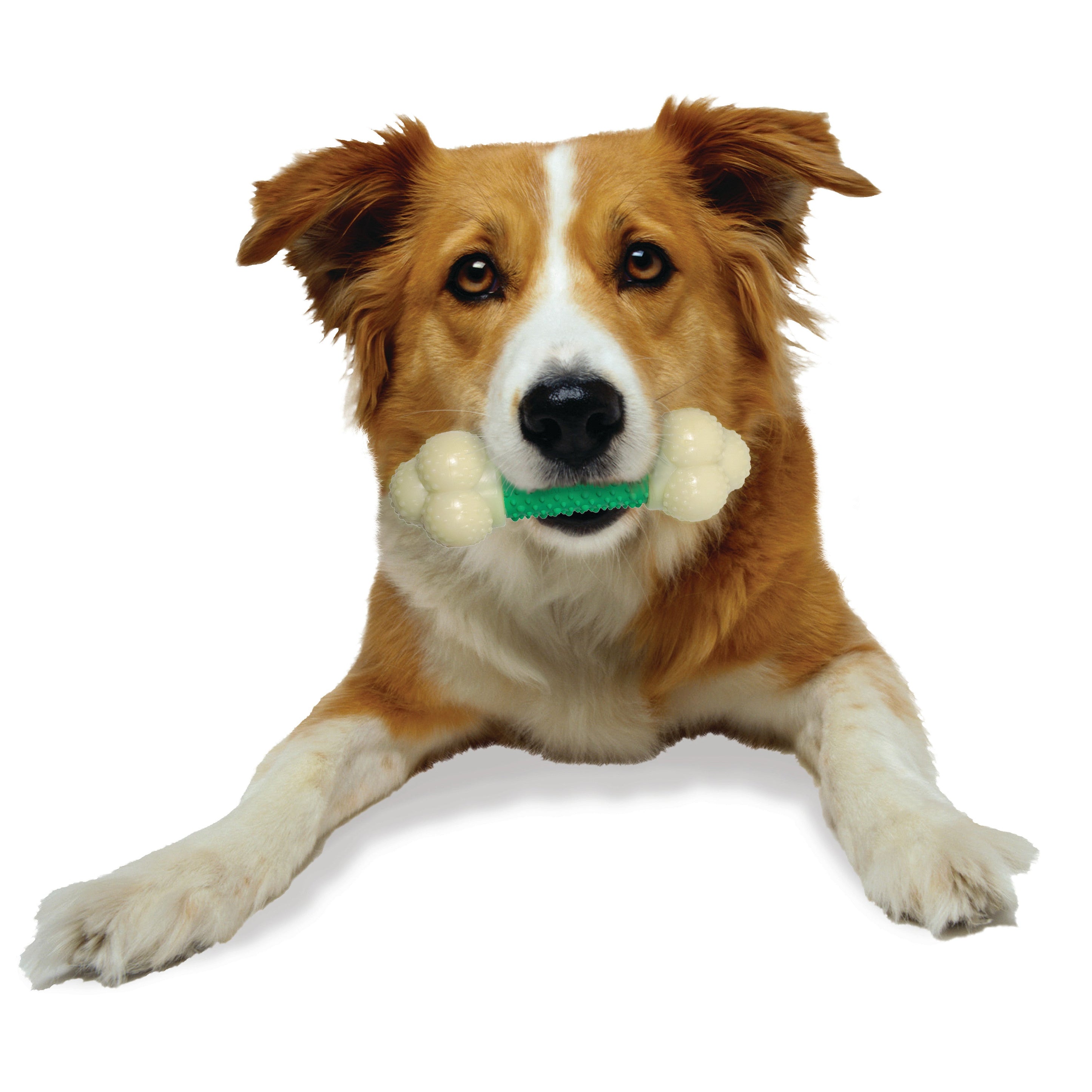 Nylabone Power Chew Double Action Durable Dog Toy Bacon, 1ea/Medium/Wolf Up To 35 Lbs. 1 ct