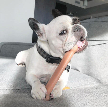 Nylabone DuraChew Bacon Blister Card Giant