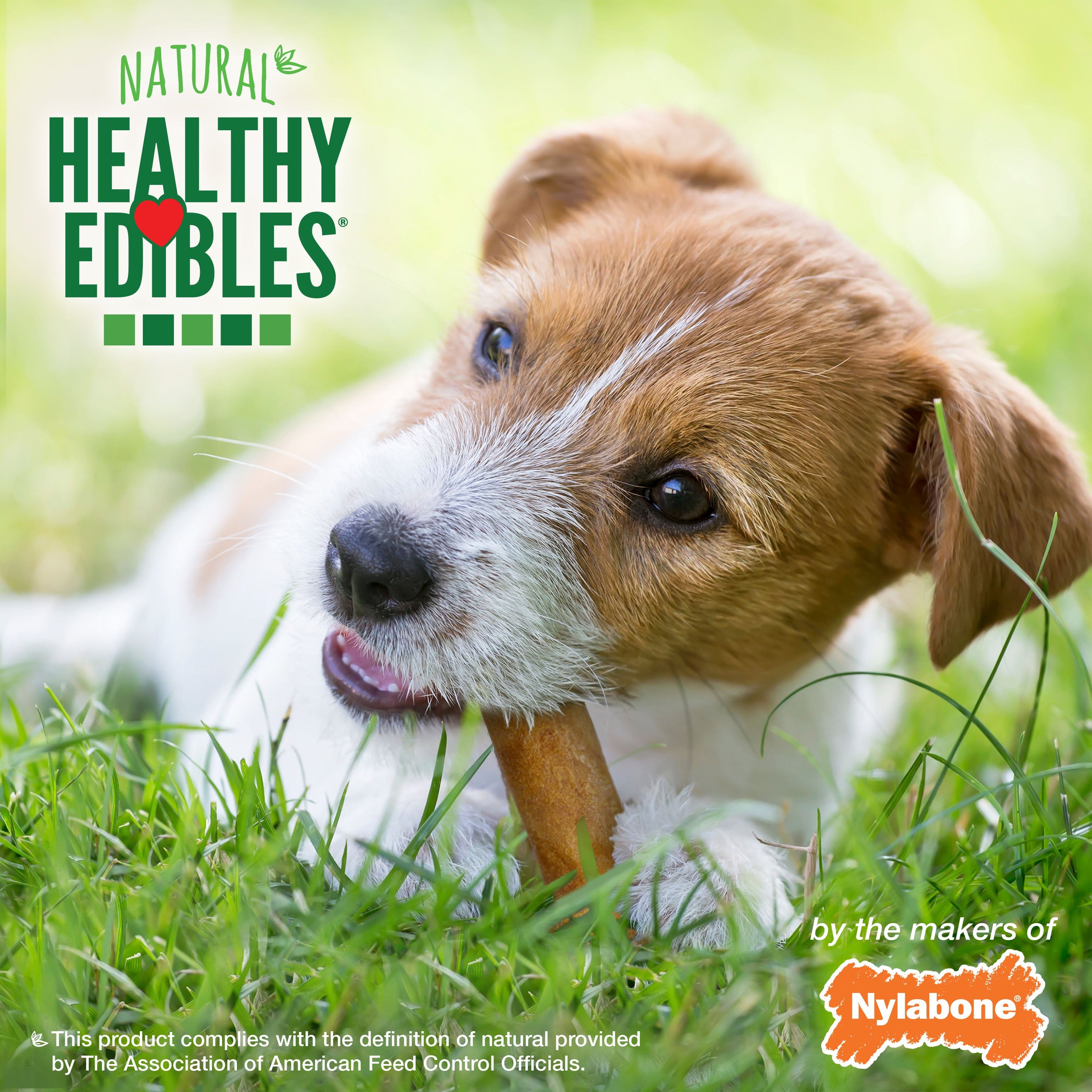 Nylabone Healthy Edibles AllNatural Long Lasting Roast Beef and Chicken Dog Chew Treats Variety, SMall/Regular Up To 25 Ibs. 12 ct