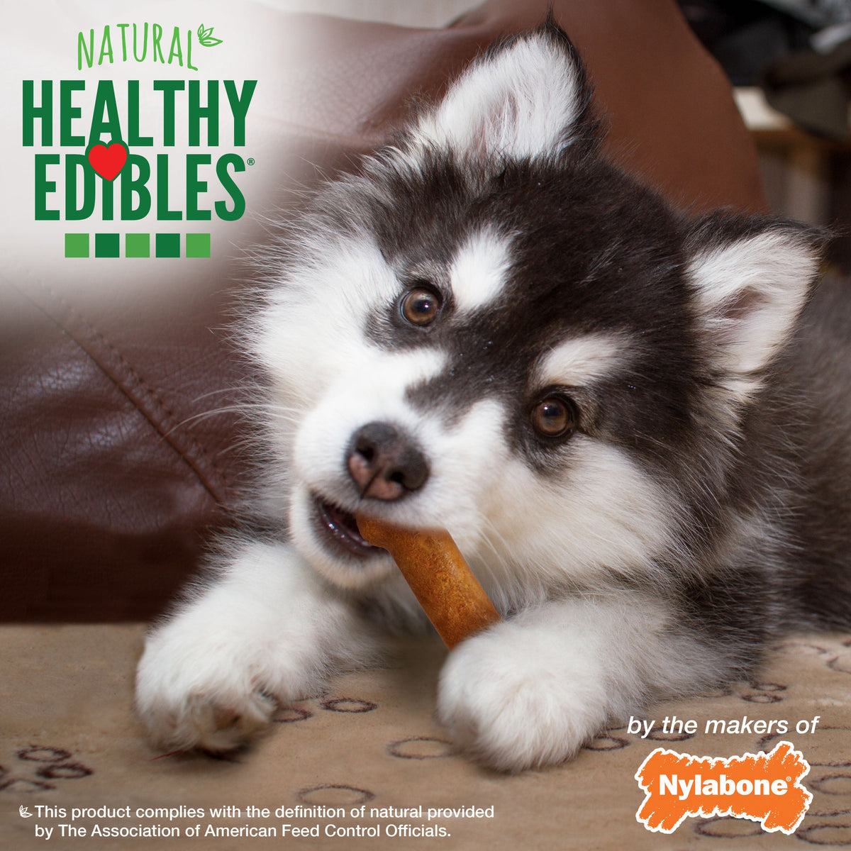 Nylabone Healthy Edibles Puppy Turkey Sweet Potato Dog Chew Treats Turkey Sweet Potato, XS/Petite Up To 15 Lbs. 4 ct