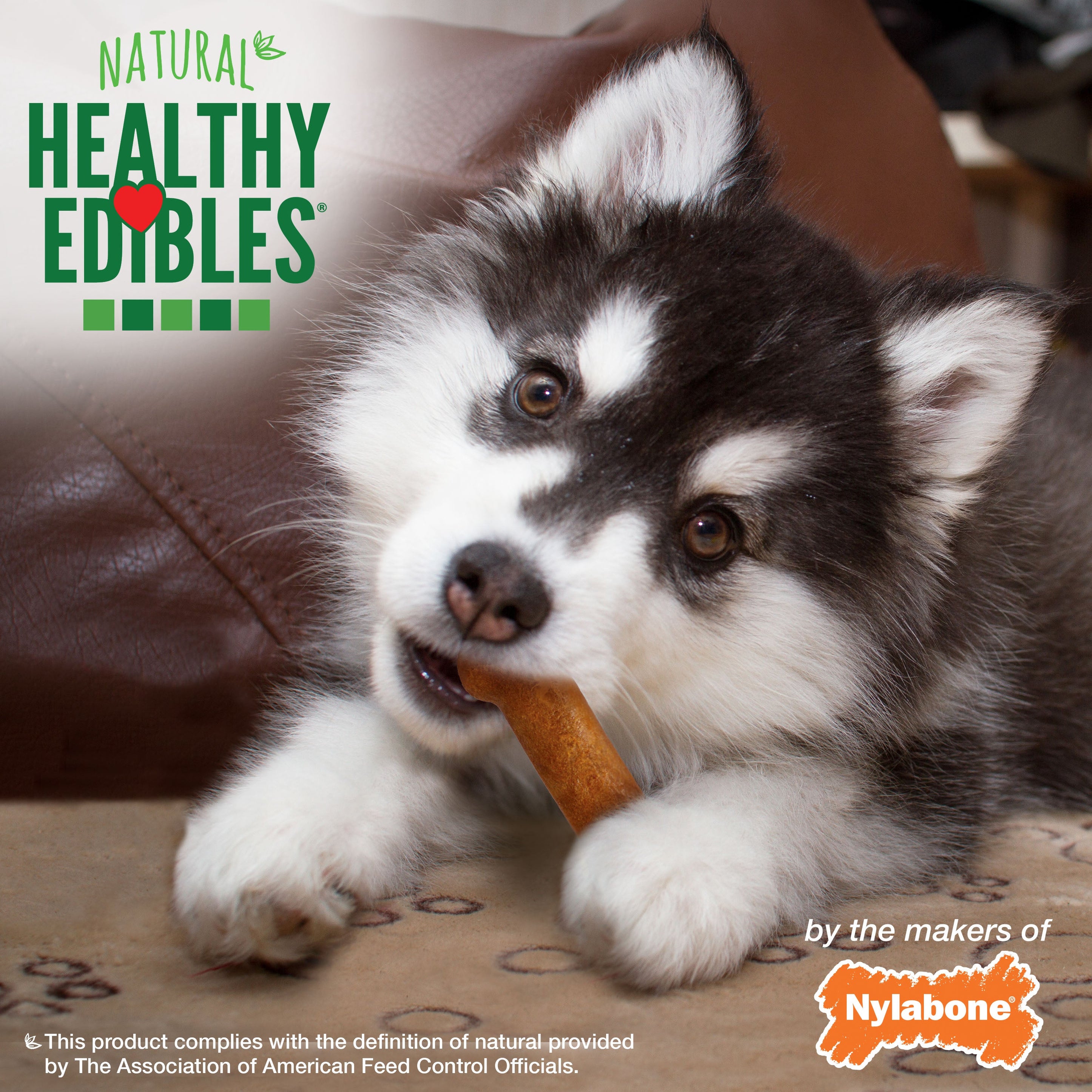 Nylabone Healthy Edibles Puppy Turkey Sweet Potato Dog Chew Treats Turkey Sweet Potato, SMall/Regular Up To 25 Ibs. 3 ct