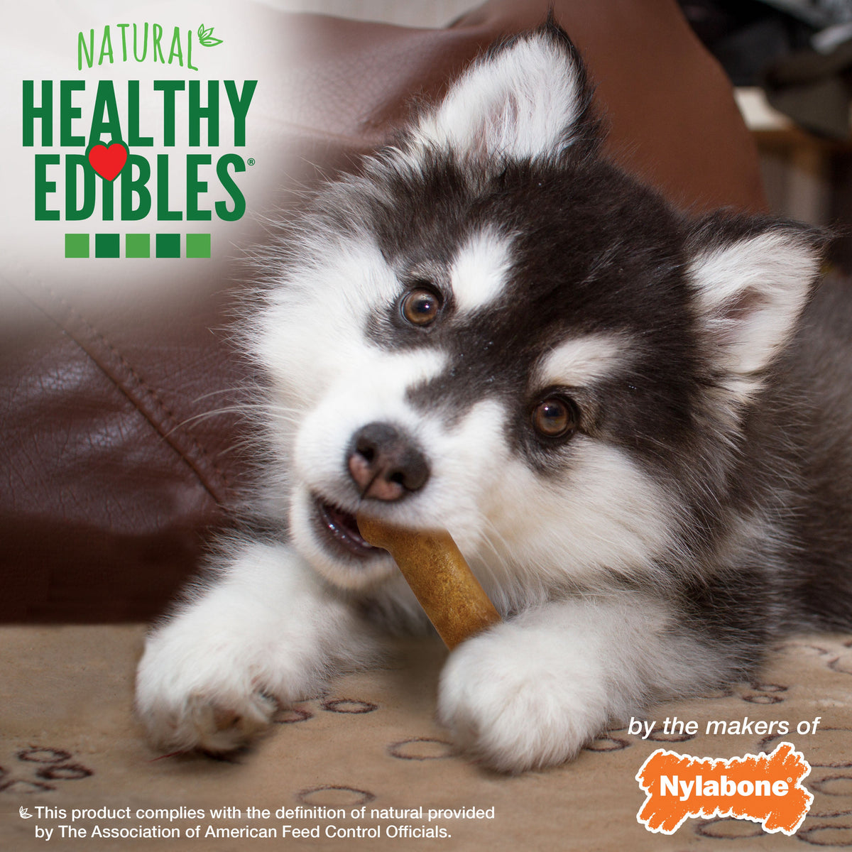 Nylabone Healthy Edibles Puppy AnimalShaped Lamb Apple Dog Chew Treats Lamb Apple, XS/Petite Up To 15 Lbs. 4 ct