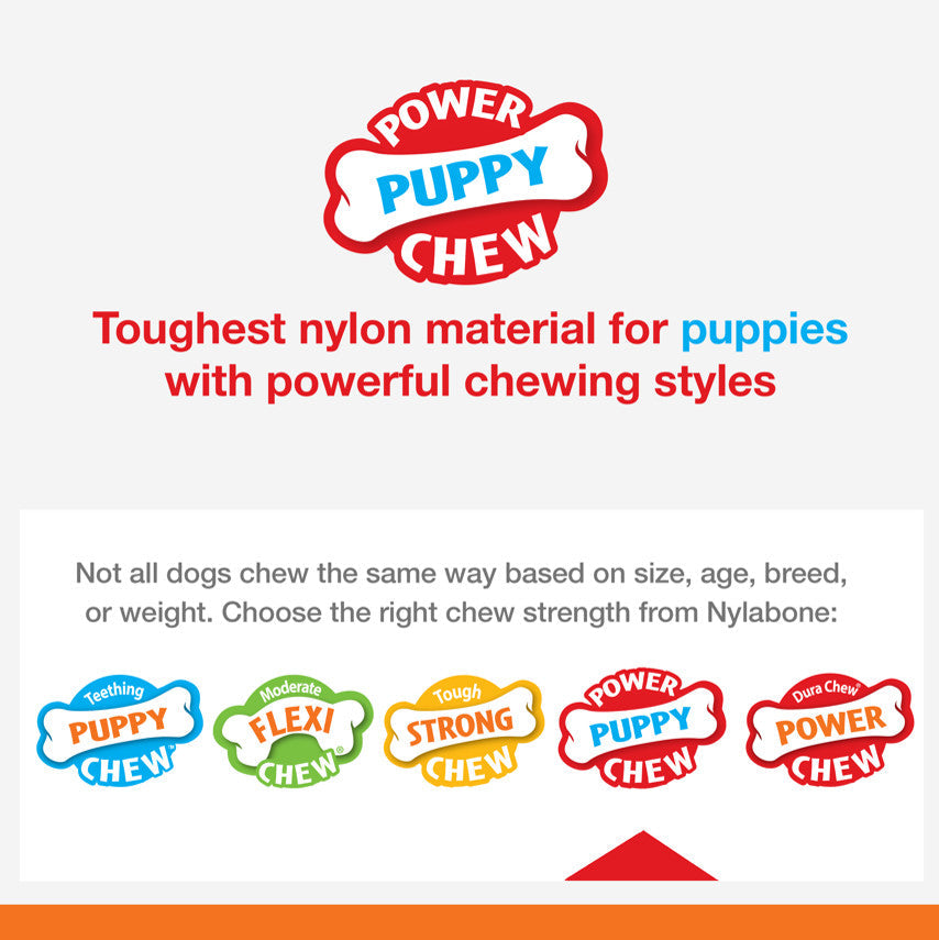 Nylabone Puppy Teething Rings