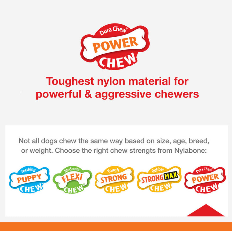 Nylabone Power Chew Ring Bone Dog Chew Toy Flavor Medley, 1ea/XS/Petite Up To 15 Lbs. 1 ct