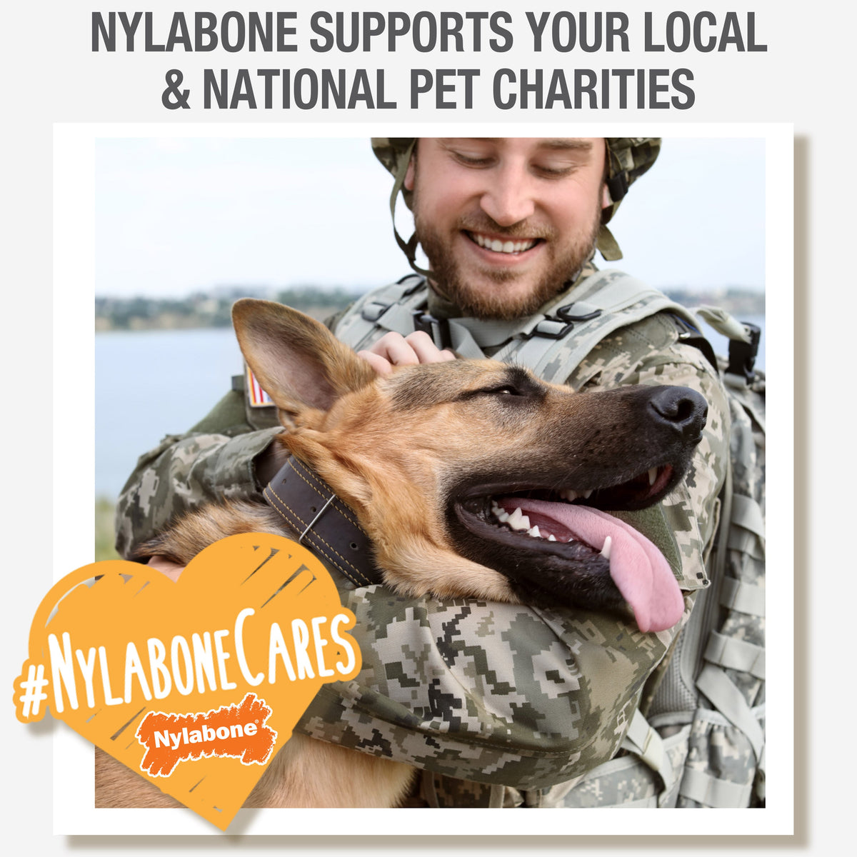 Nylabone DuraChew Double Bended Bone Bacon Wolf