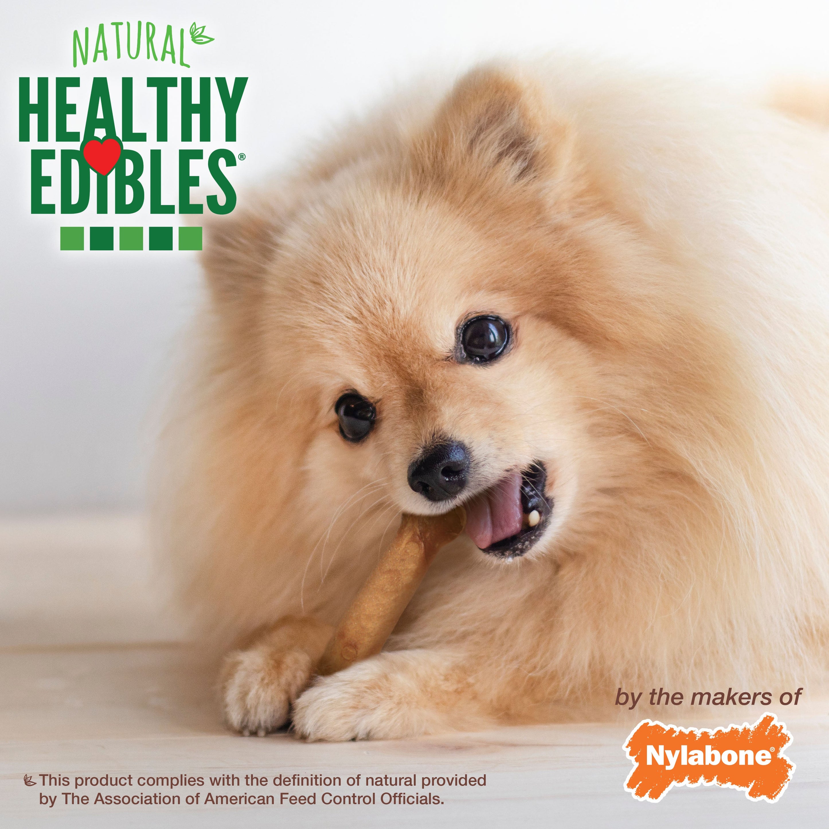 Nylabone Healthy Edibles AllNatural Long Lasting Roast Beef and Chicken Dog Chew Treats Roast Beef Chicken, XS/Petite Up To 15 Lbs. 8 ct