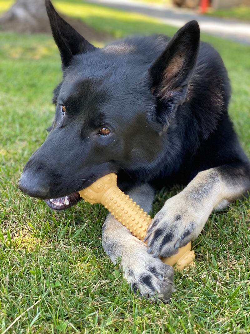 Nylabone Dura Chew Barbell Peanut Butter Flavor Monster