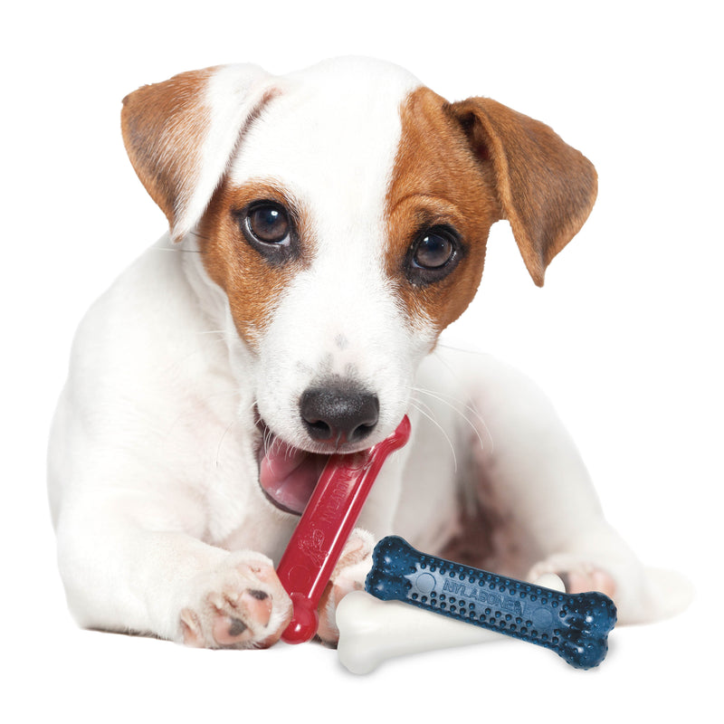 Nylabone Power Chew Variety Triple Pack Chicken, Bacon Peanut Butter, 1ea/SMall/Regular Up To 25 Ibs. 3 ct