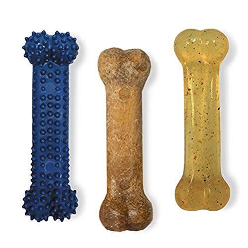 Nylabone Flexi Chew Variety Pack Regular
