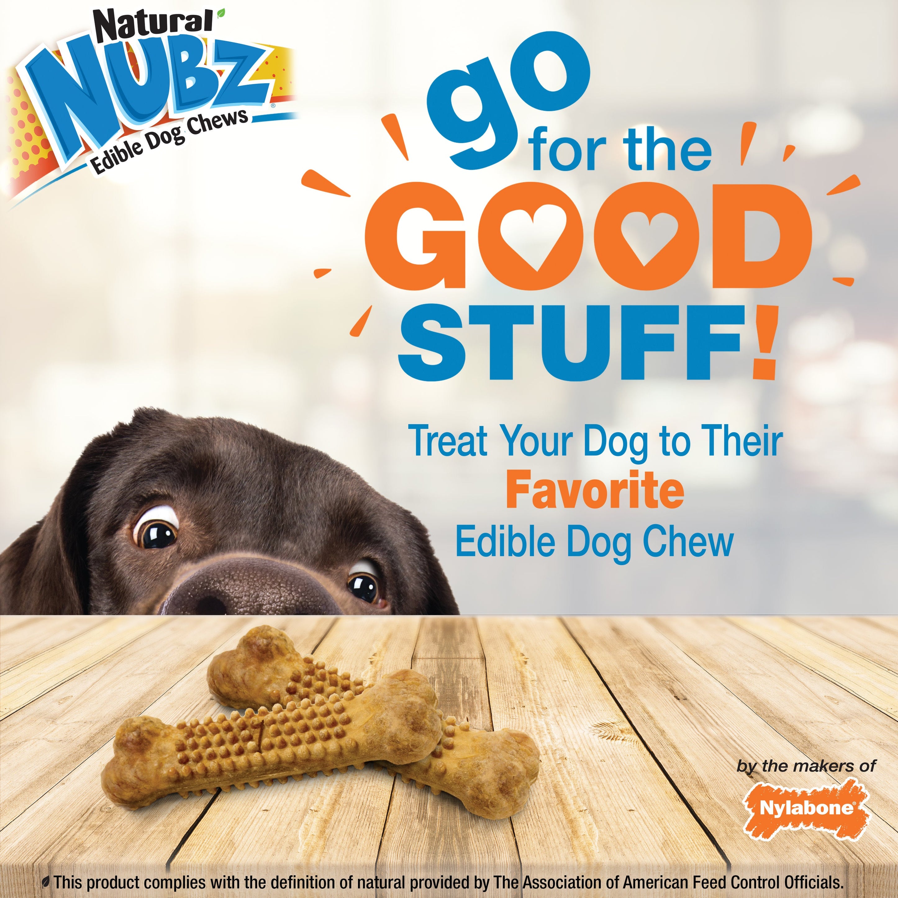 Nylabone Natural Nubz Chicken Dog Treats Chicken, Large 30 Lbs. 2 ct