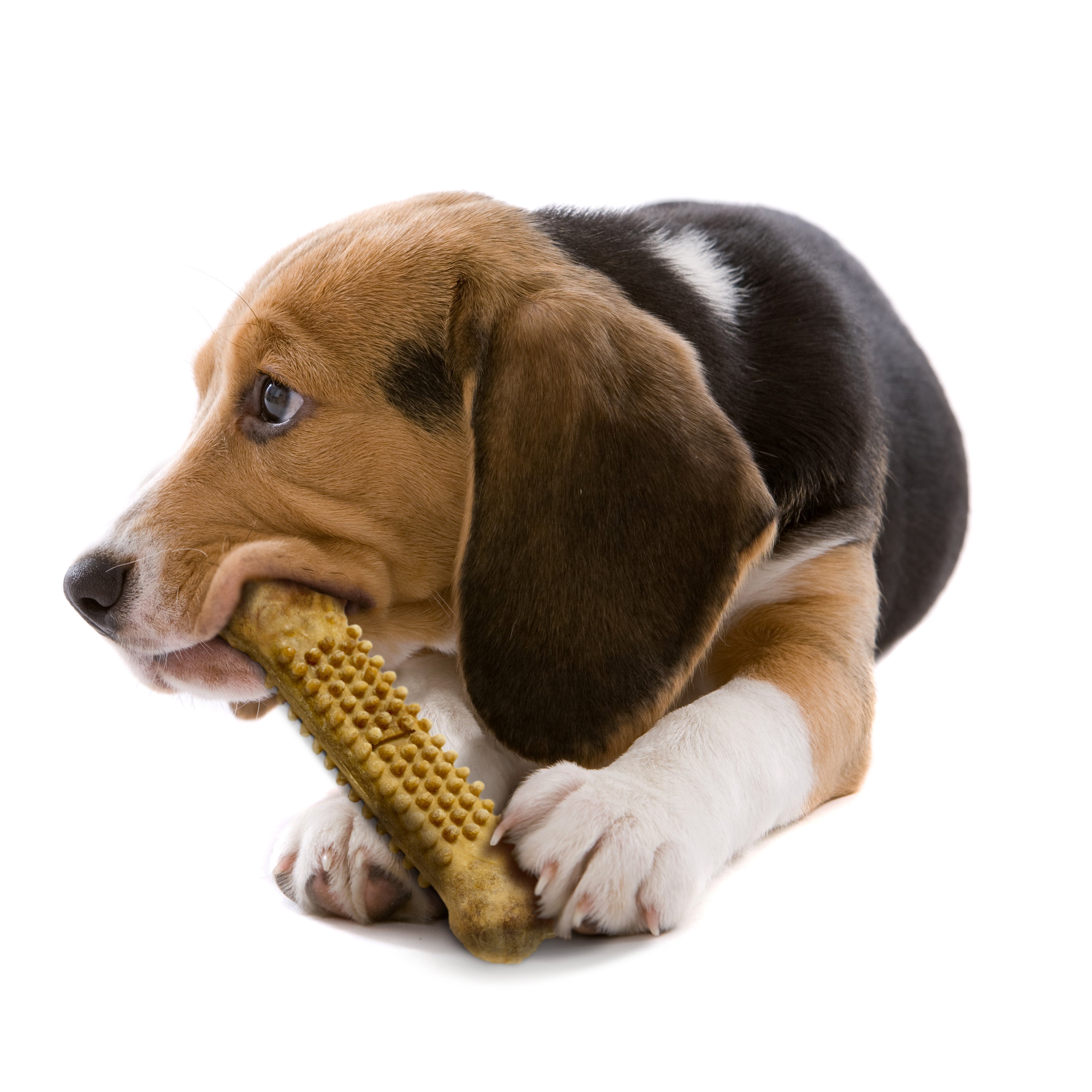 Nylabone Natural Nubz Chicken Dog Treats Chicken, 1ea/Large 30 Lbs. 2 ct
