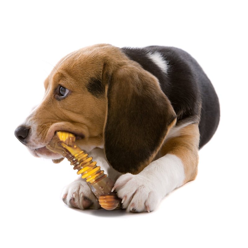 Nylabone Flavor Frenzy Power Chew Durable Dog Chew Toy Philly Cheesesteak, 1ea/Medium/Wolf Up To 35 Lbs. 1 ct