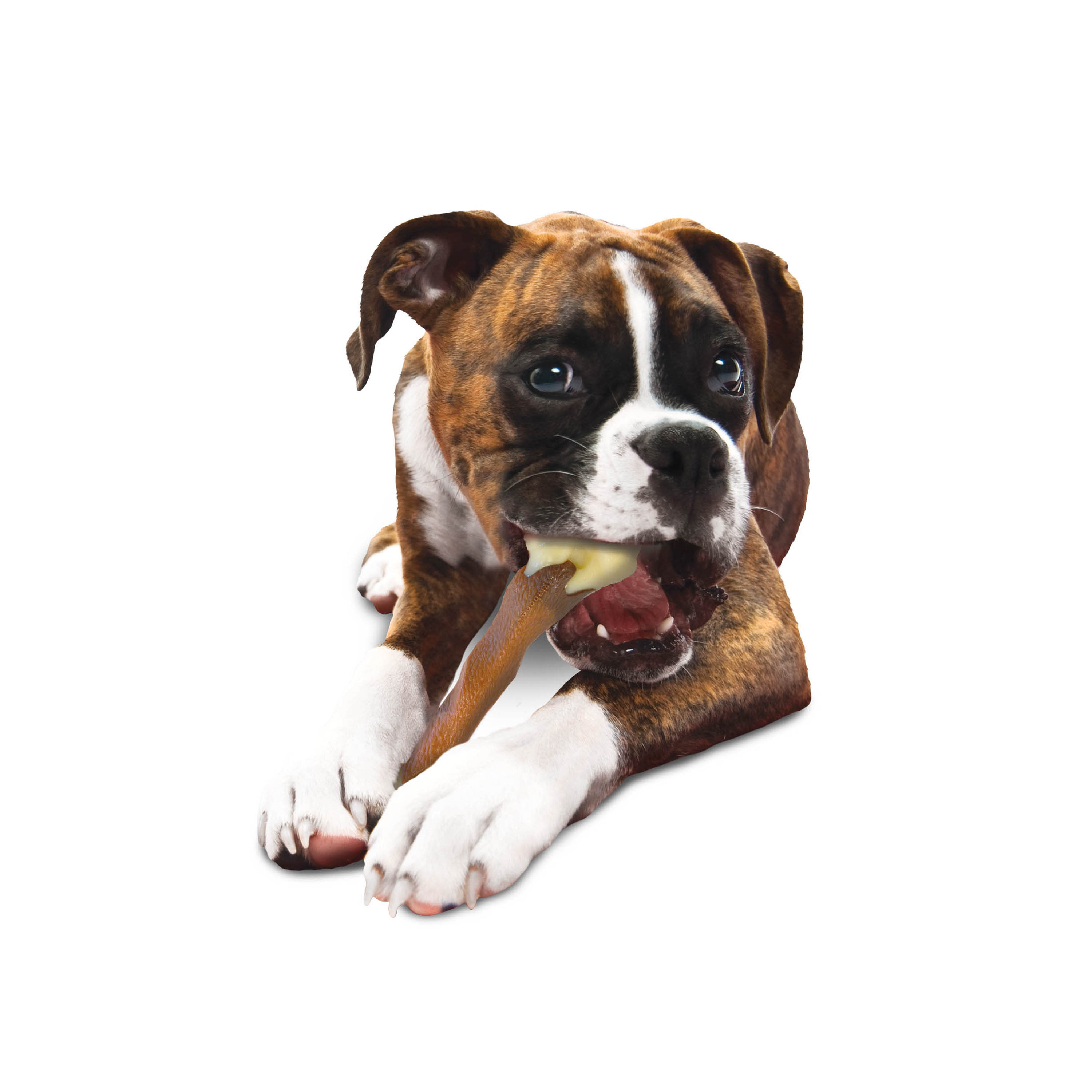 Nylabone Power Chew Femur Dog Bone Alternative Beef, 1ea/Large/Giant Up To 50 Lbs. 1 ct