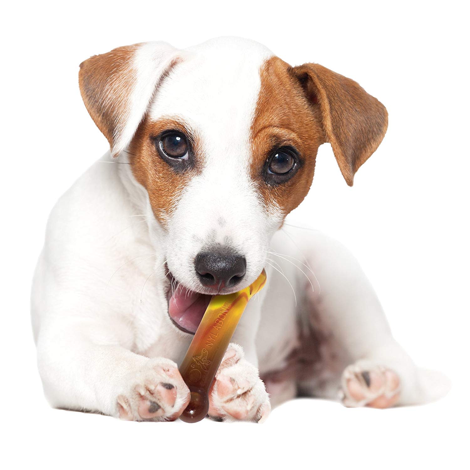 Nylabone Flavor Frenzy Power Chew Triple Pack Chili Cheese Dog, Popcorn Cherry, 1ea/SMall/Regular Up To 25 Ibs. 3 ct