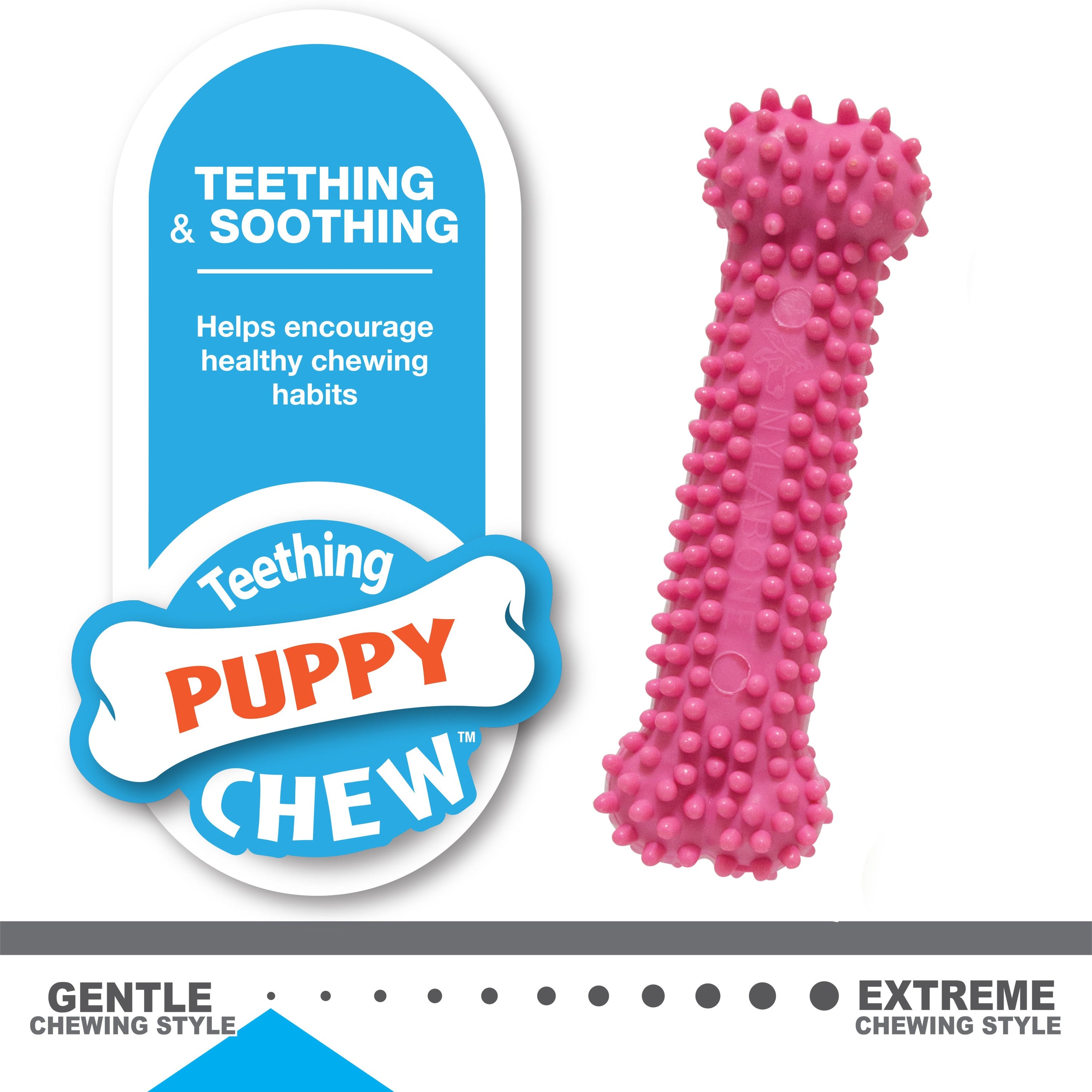 Nylabone Puppy Chew Variety Toy Treat Triple Pack Chicken Lamb Starter Kit, 1ea/SMall/Regular Up To 25 Ibs.