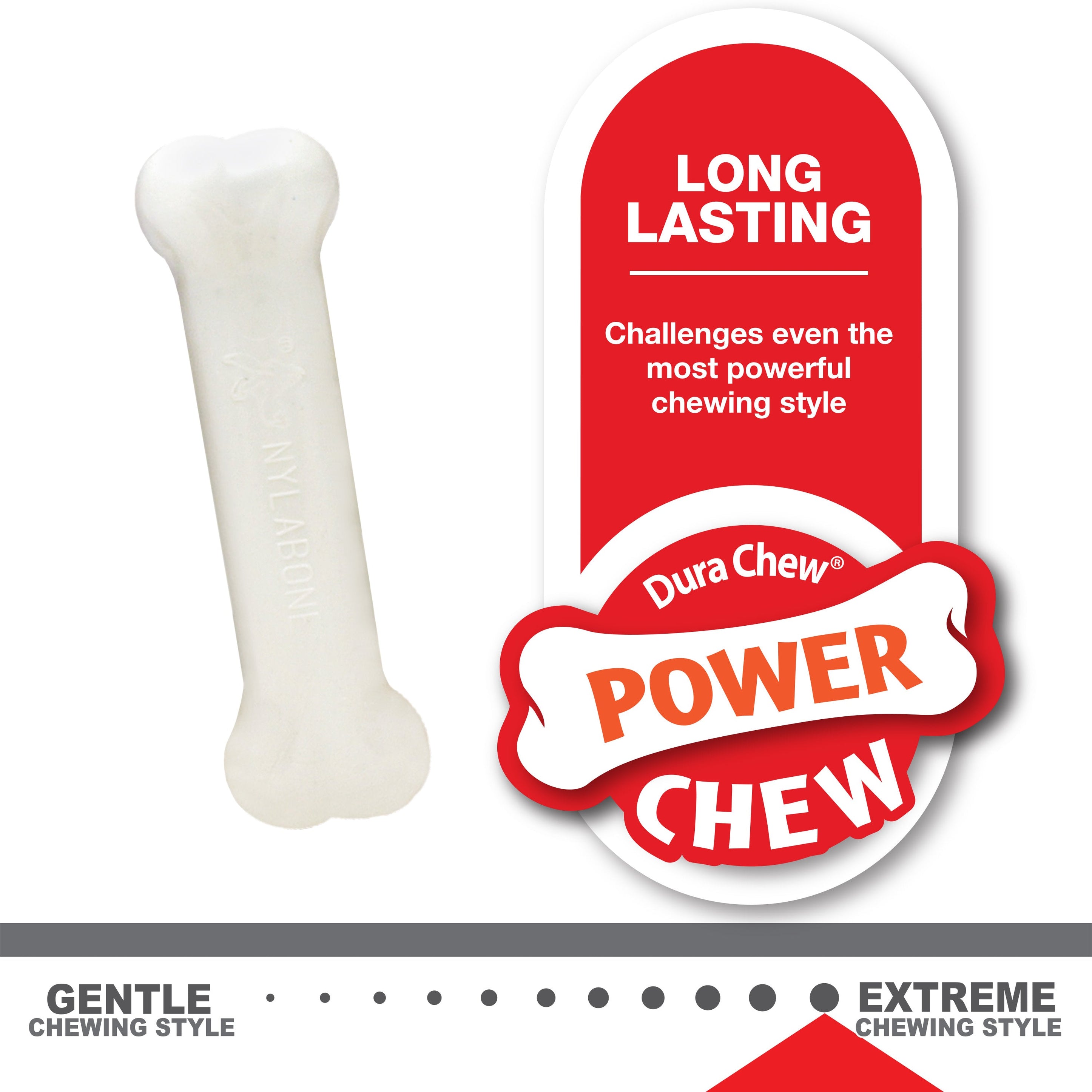 Nylabone Puppy Chew Variety Toy Treat Triple Pack Chicken Lamb Starter Kit, SMall/Regular Up To 25 Ibs.