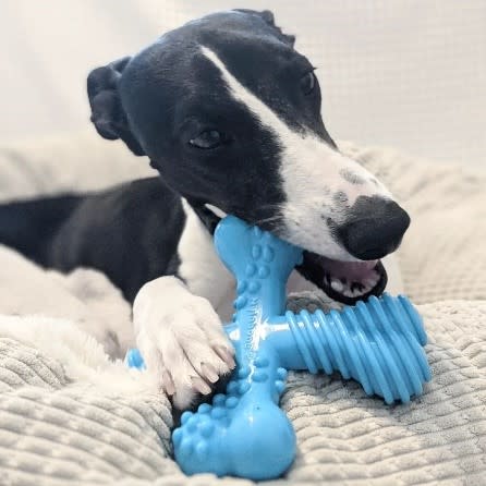 Nylabone Dura Chew X Bone Beef Flavor Large