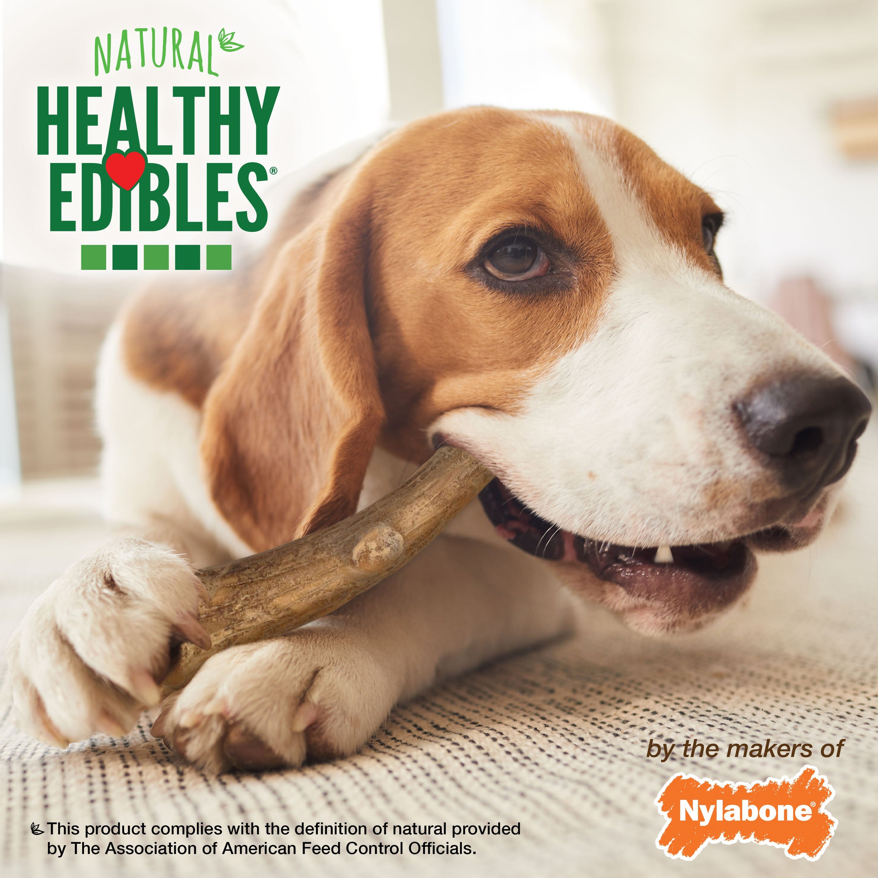 Nylabone Healthy Edibles WILD AllNatural Long Lasting Antler Chew Treats Venison, 1ea/Large/Giant Up To 50 Lbs. 10 ct