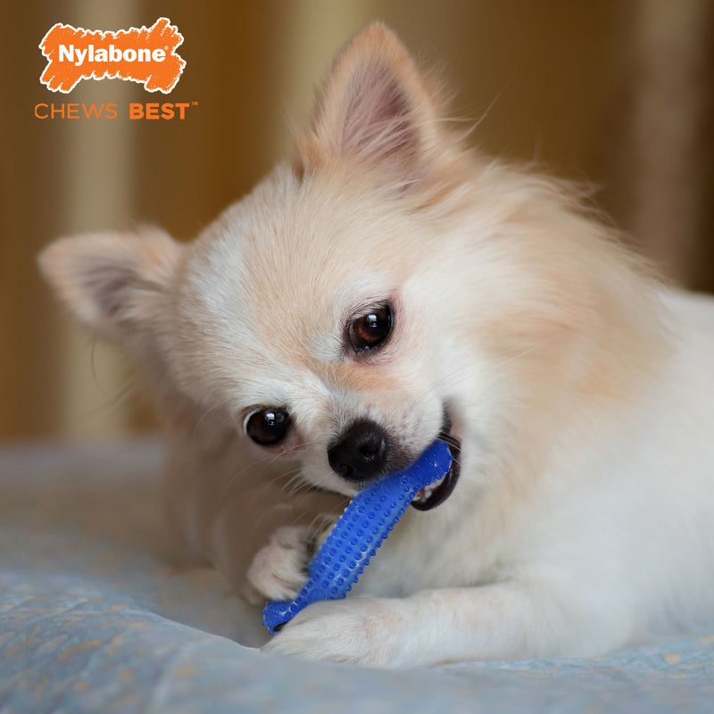 Nylabone Flexi Chew 2 Peanut Butter, 1 Bacon Petite 3pk