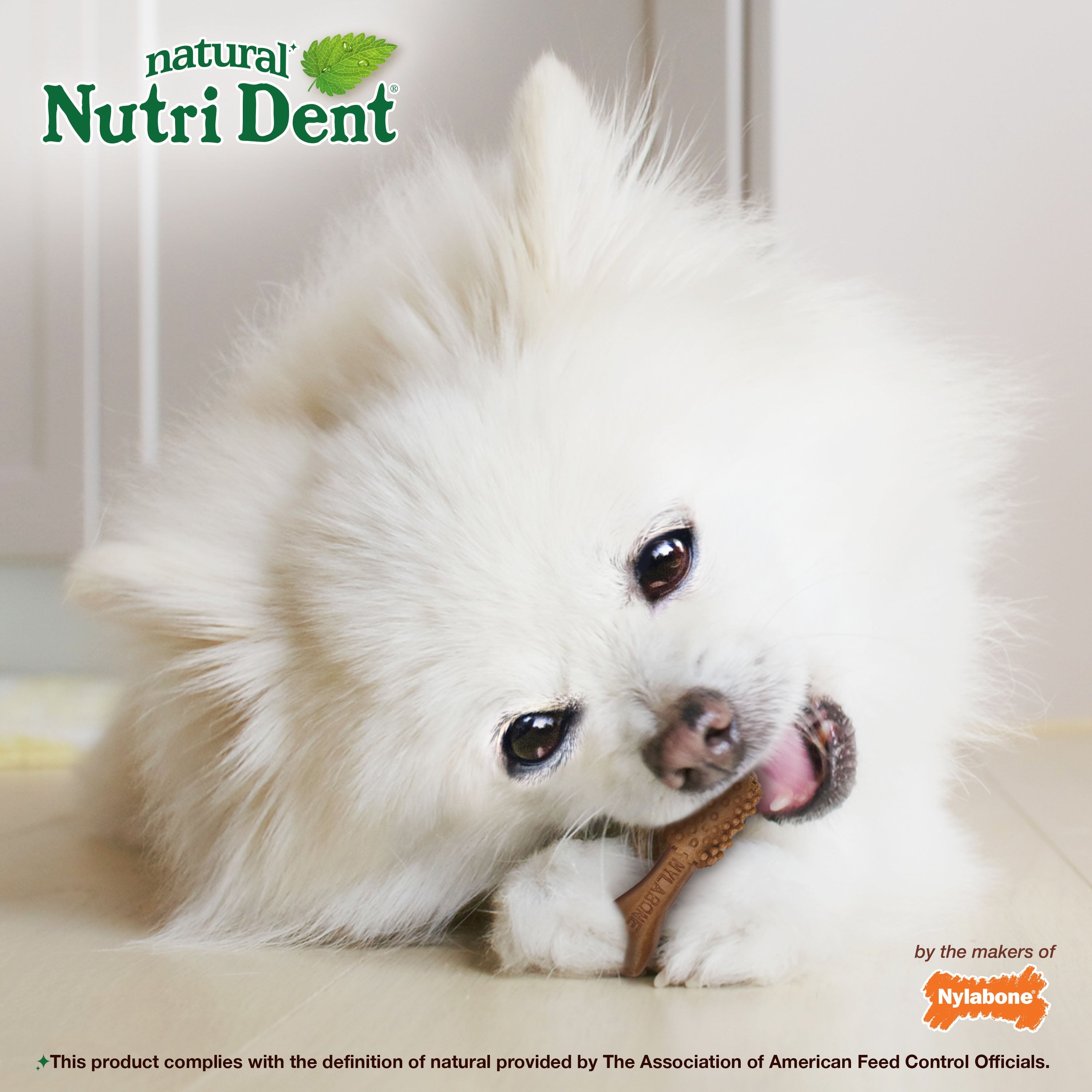 Nylabone Nutri Dent Filet Mignon Dog Dental Chews Filet Mignon, 1ea/Mini 5 Lbs. To 10 Lbs. 78 ct