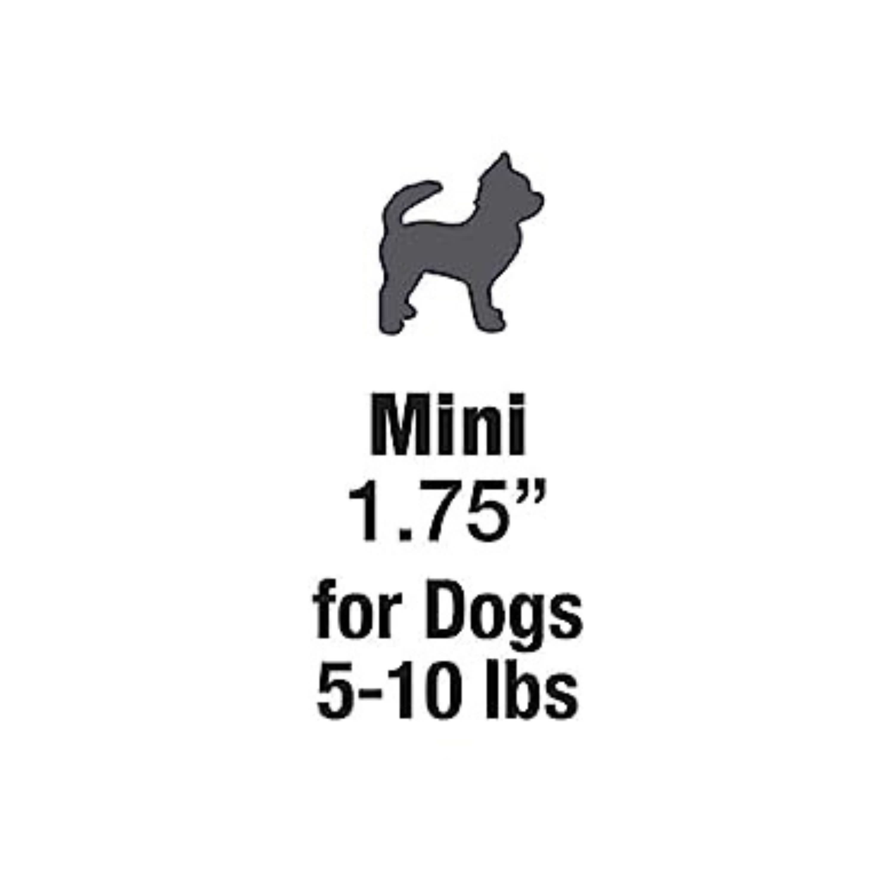 Nylabone Nutri Dent Filet Mignon Dog Dental Chews Filet Mignon, 1ea/Mini 5 Lbs. To 10 Lbs. 78 ct