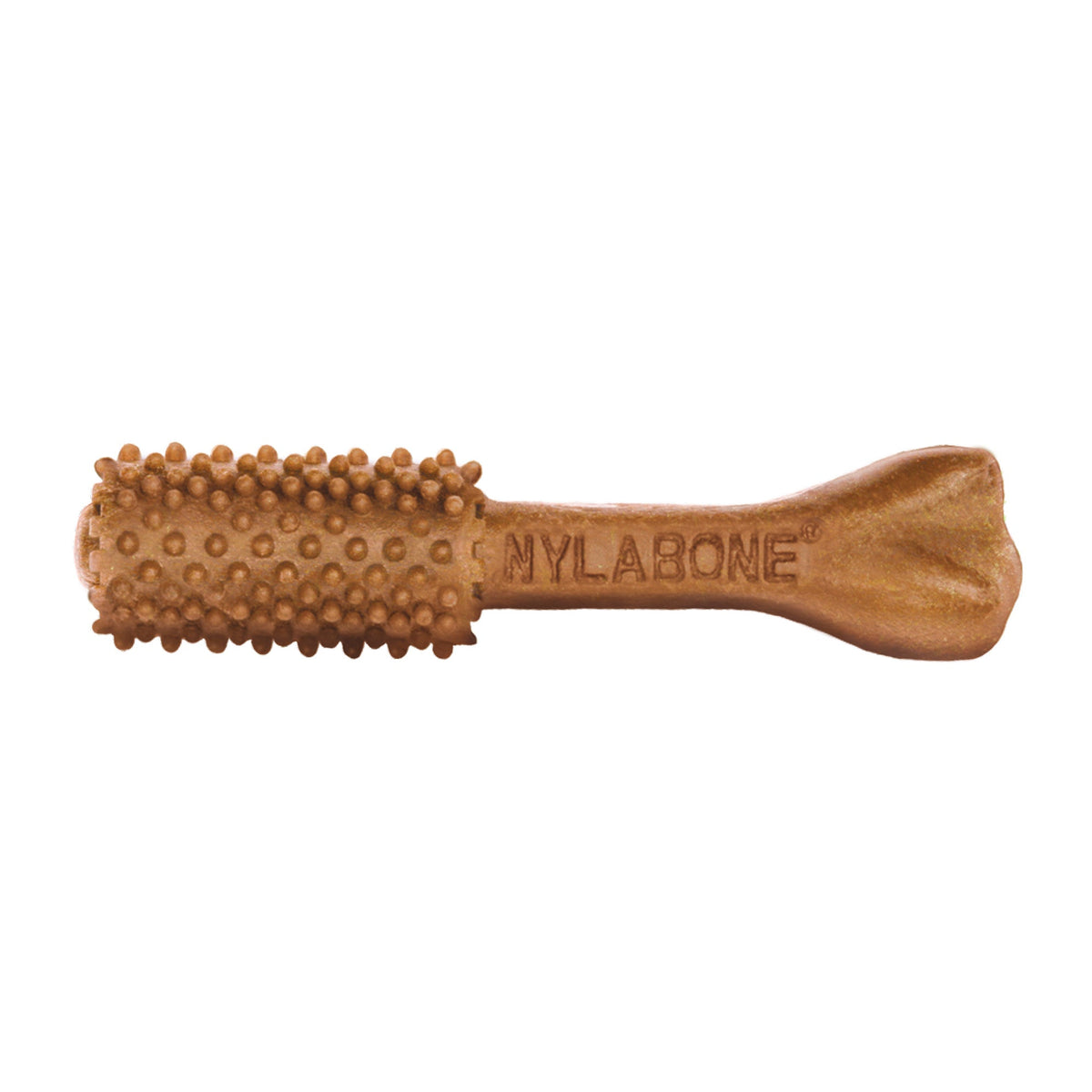 Nylabone Nutri Dent Filet Mignon Dog Dental Chews Filet Mignon Medium - 15 Lbs. To 30 lb (20 ct)