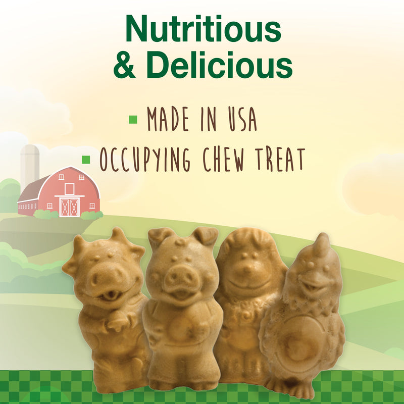 Nylabone Healthy Edibles AllNatural Long Lasting Puppy Chew Treats Lamb Apple, 1ea/SMall/Regular Up To 25 Ibs. 4 ct
