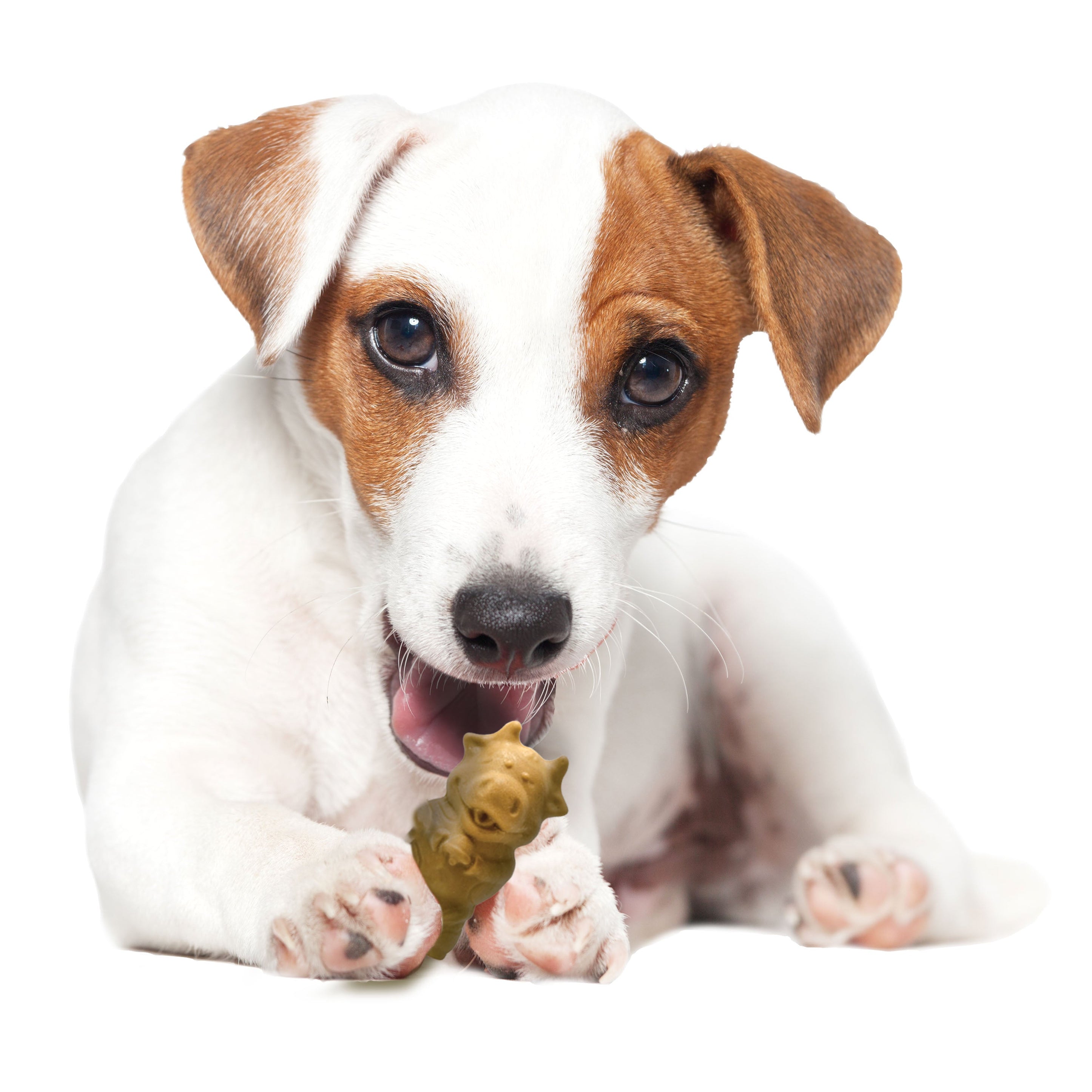Nylabone Healthy Edibles Puppy AnimalShaped Lamb Apple Dog Chew Treats Lamb Apple, SMall/Regular Up To 25 Ibs. 4 ct
