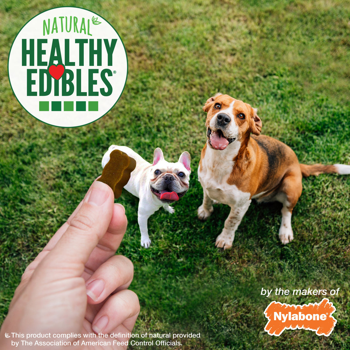 Nylabone Healthy Edibles Chewy Bites Soft Dog Treats Bacon, 6 oz 1 ct