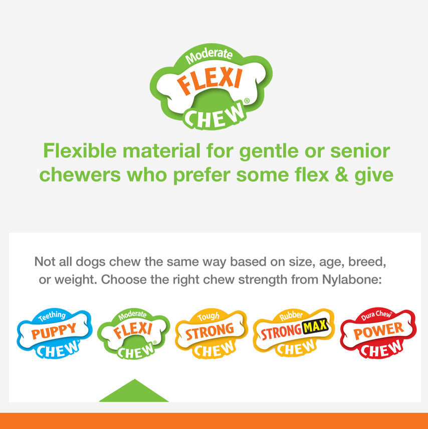 Nylabone Flexi Chew Chill Chew Toy with Treat Pockets Chicken, Blue, 1ea/Medium 1 ct