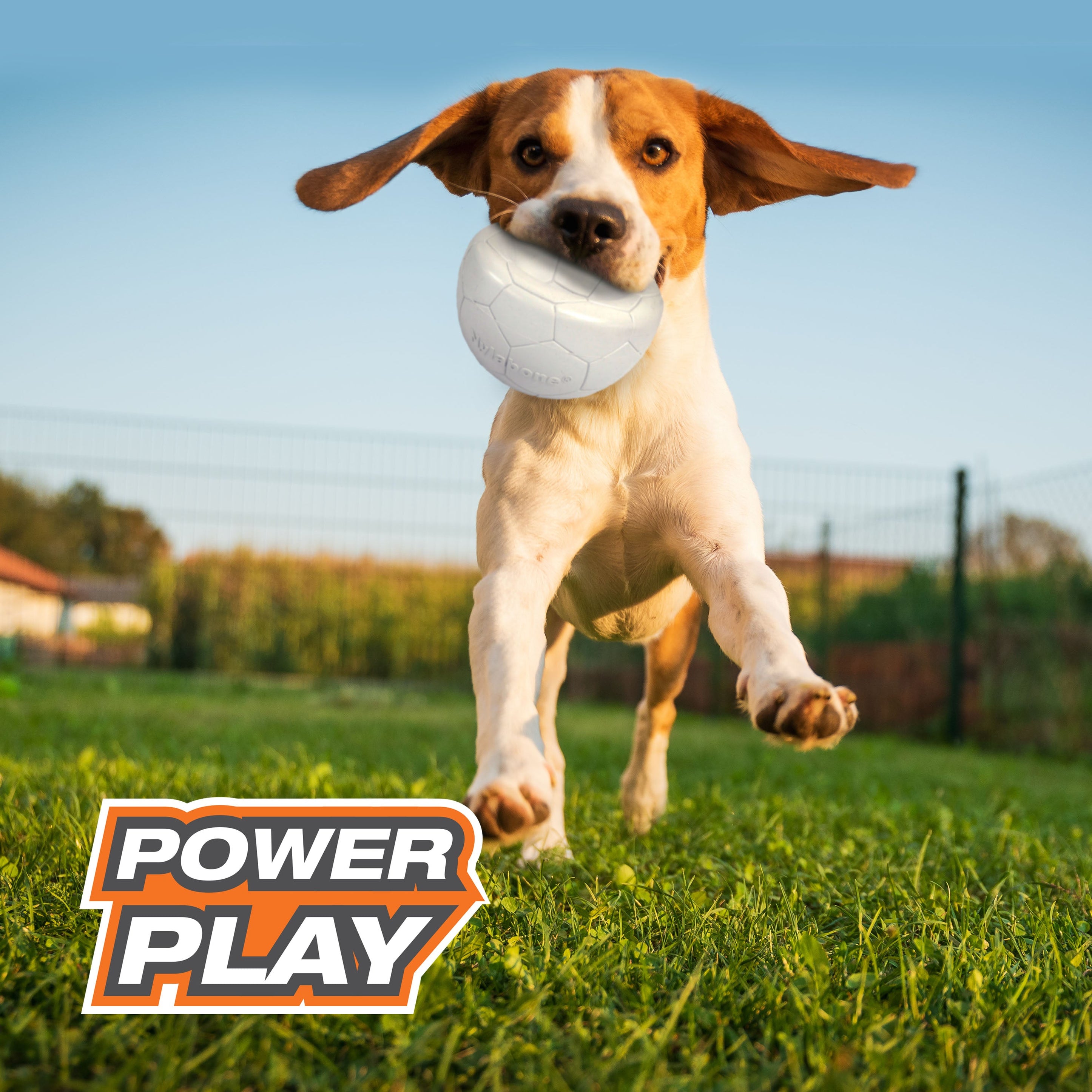 Nylabone Power Play Gripz Dog Soccer Ball Toy 1ea/Medium/Wolf Up To 35 Lbs. 1 ct