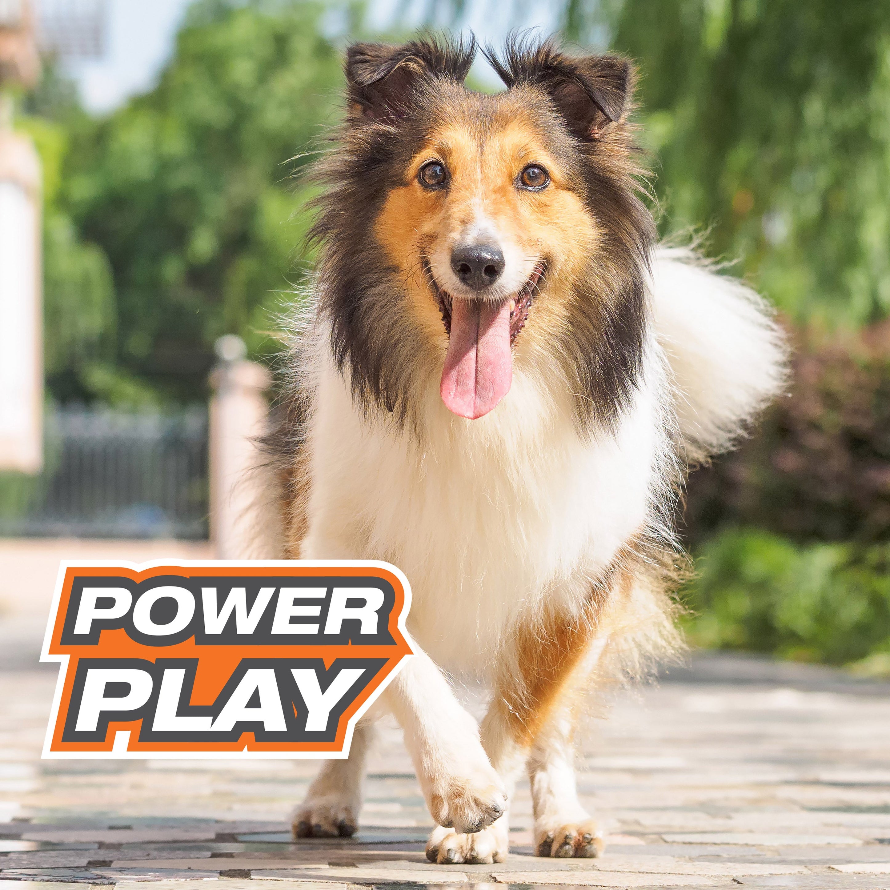 Nylabone Power Play Gripz Dog Soccer Ball Toy 1ea/Medium/Wolf Up To 35 Lbs. 1 ct