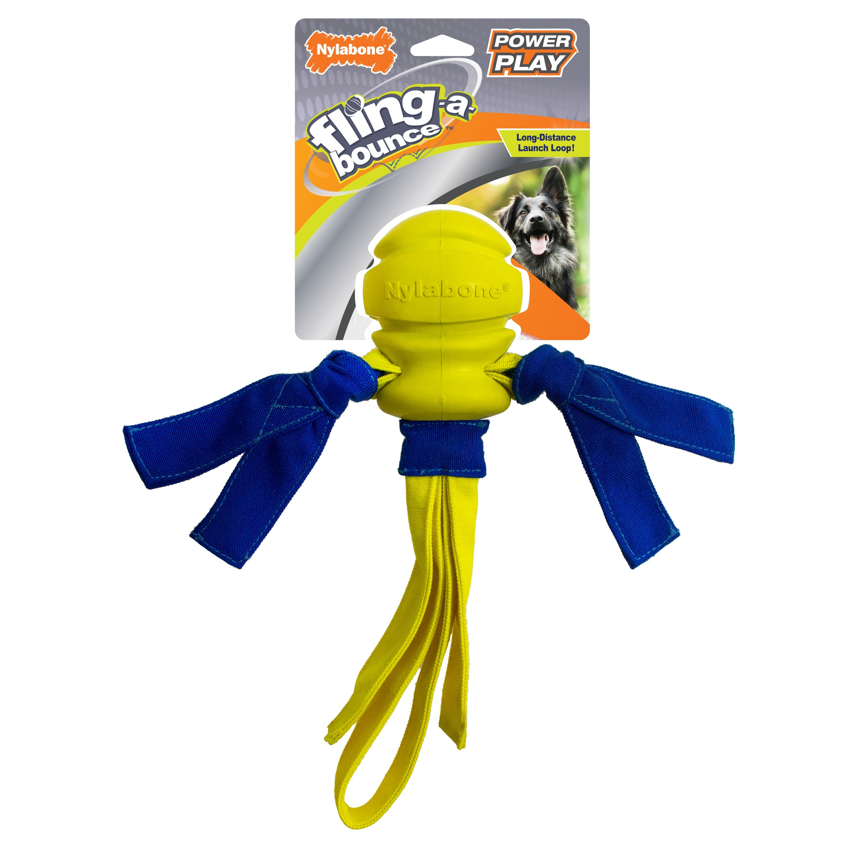 Nylabone Power Play FlingaBounce Interactive Dog Toy 1ea/Large/Giant Up To 50 Lbs. 1 ct