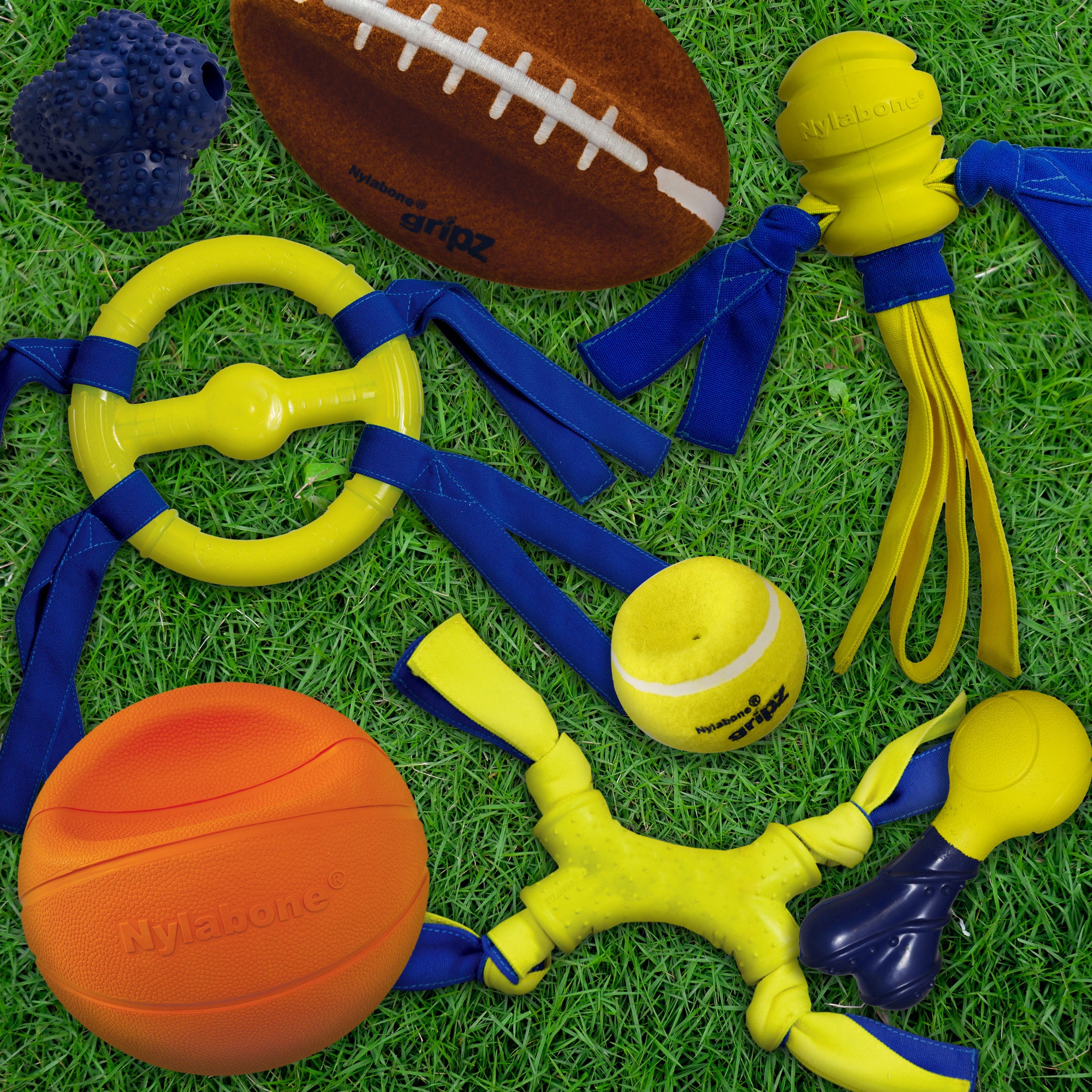 Nylabone Power Play FlingaBounce Interactive Dog Toy 1ea/Large/Giant Up To 50 Lbs. 1 ct