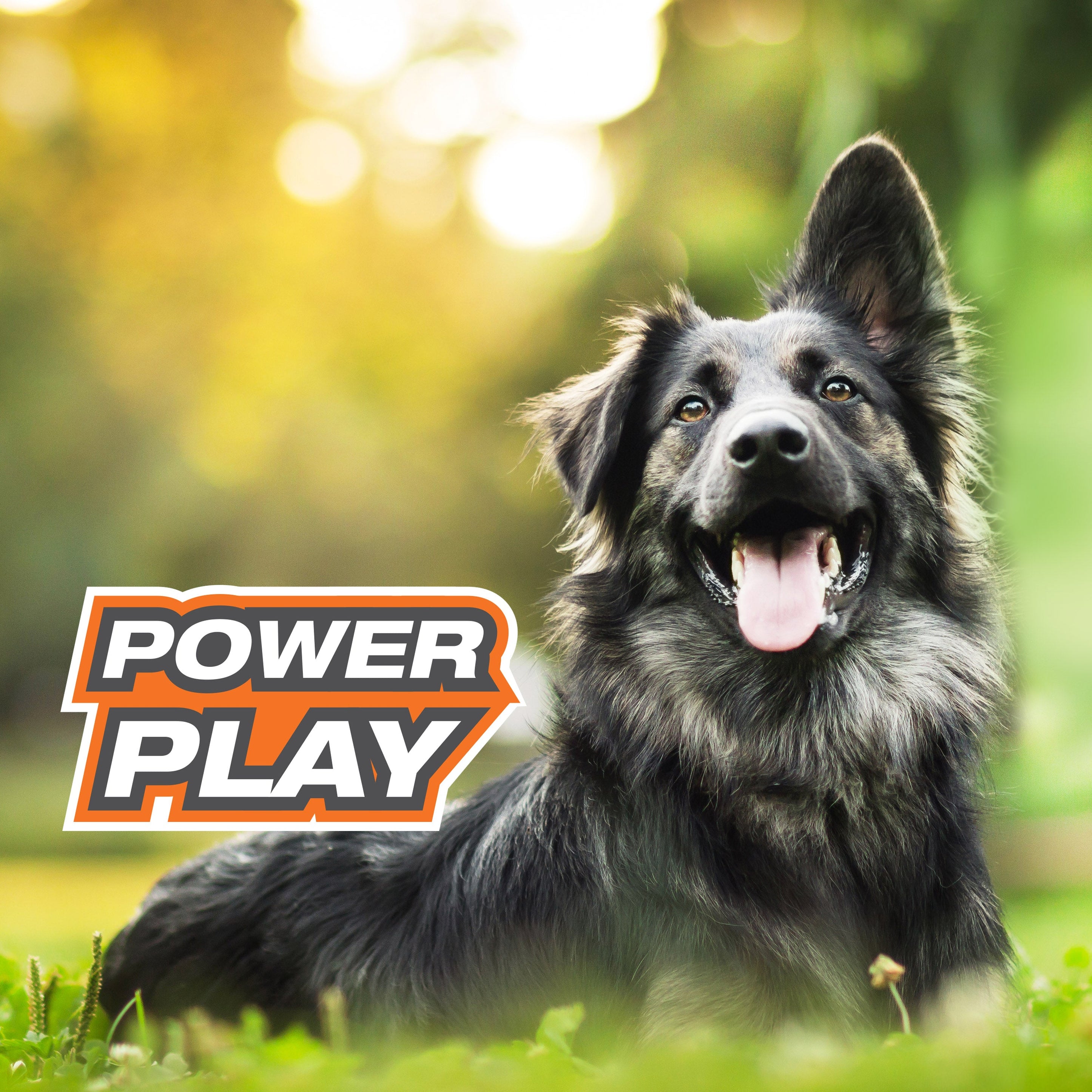 Nylabone Power Play FlingaBounce Interactive Dog Toy 1ea/Large/Giant Up To 50 Lbs. 1 ct