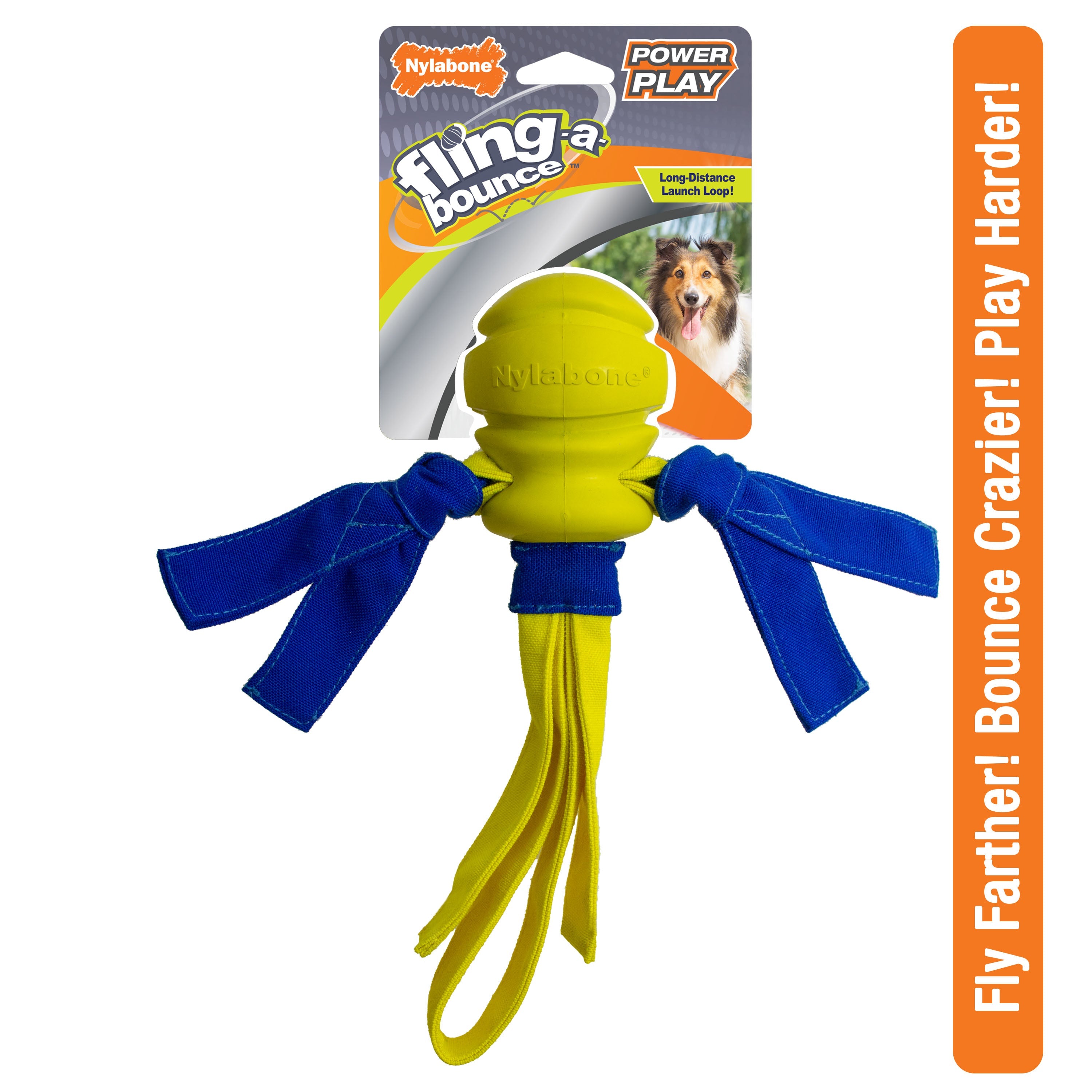 Nylabone Power Play FlingaBounce Interactive Dog Toy 1ea/Large/Giant Up To 50 Lbs. 1 ct