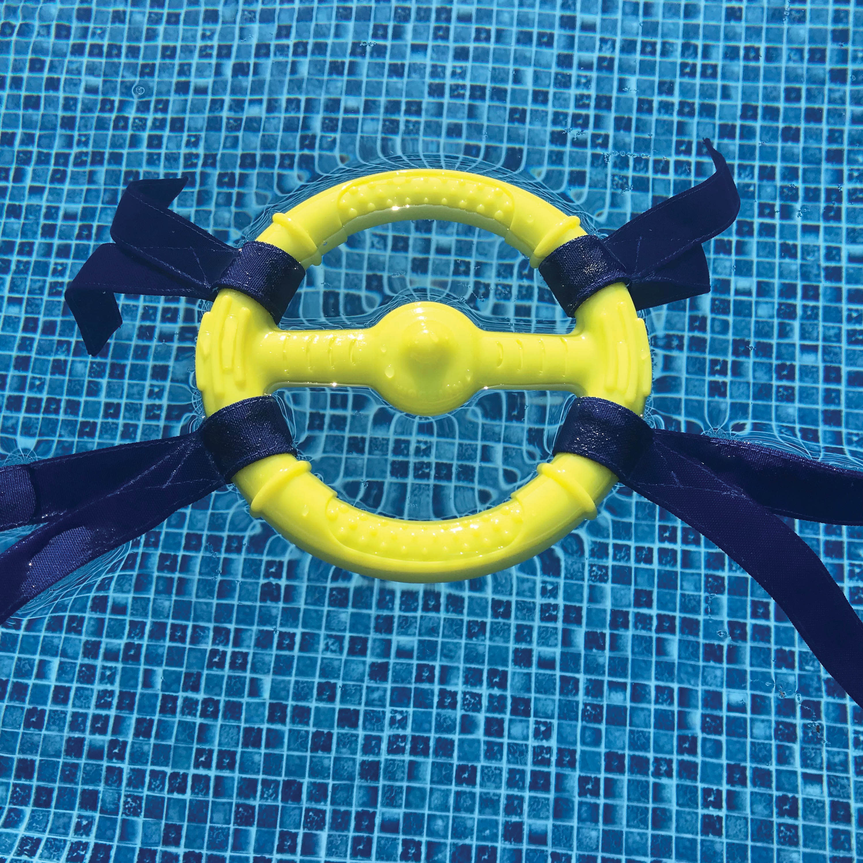 Nylabone Power Play Ring Thing Floatable Dog Toy 1ea/Medium/Wolf Up To 35 Lbs. 1 ct