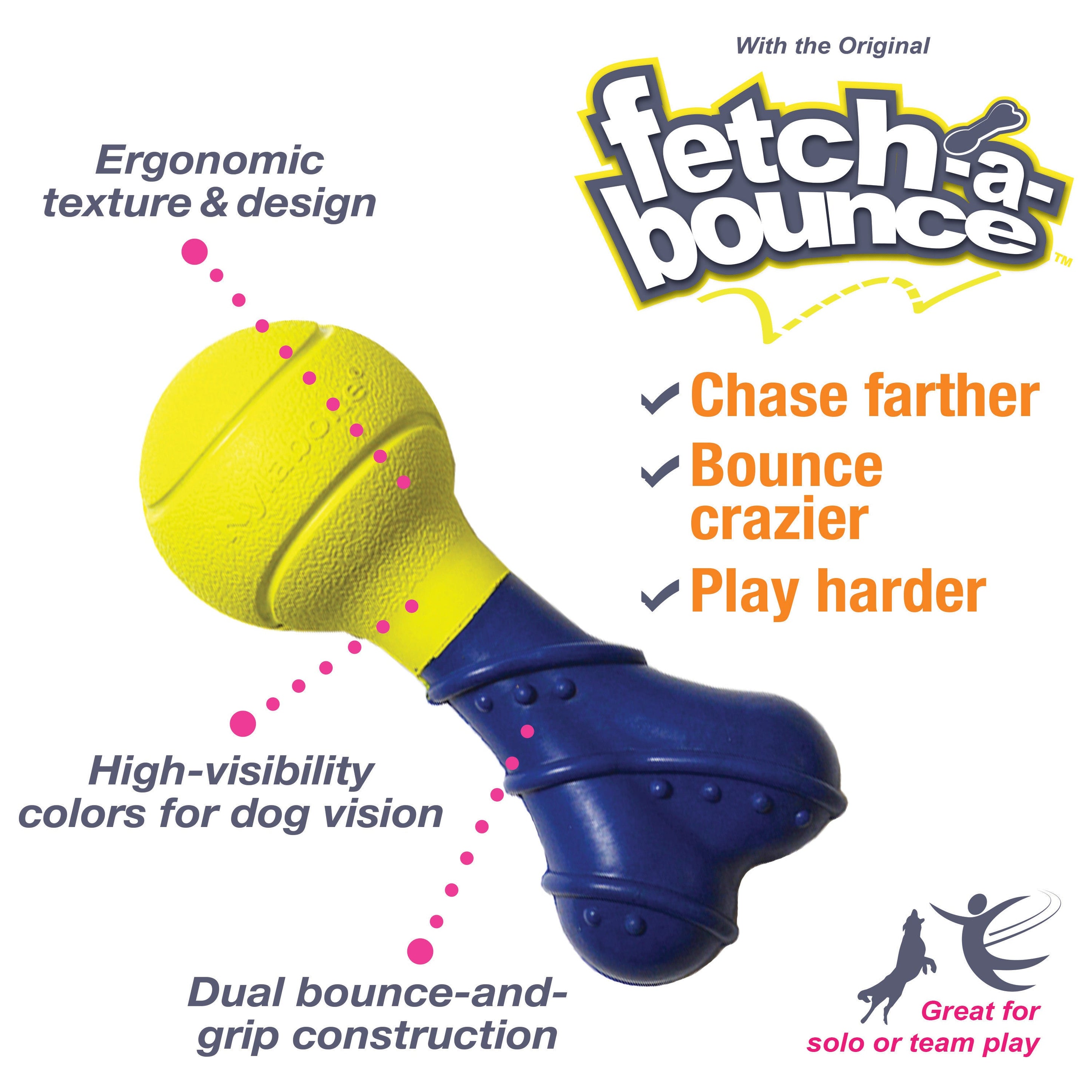 Nylabone Power Play Rubber Dog Toy FetchaBounce 1ea/SMall/Regular Up To 25 Ibs. 1 ct