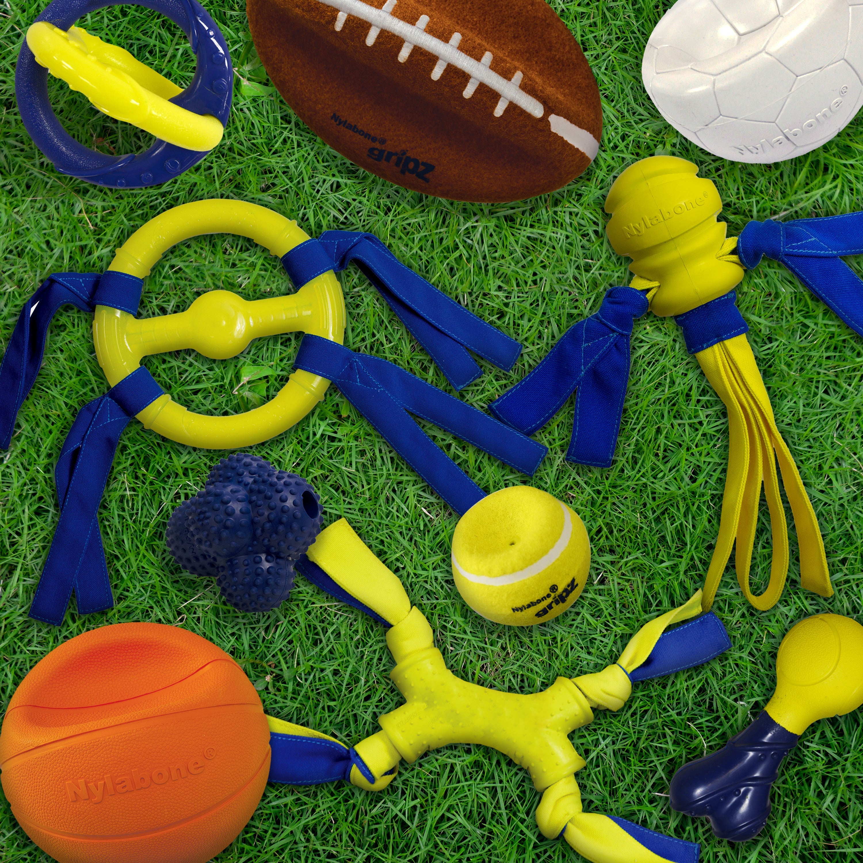 Nylabone Power Play Rubber Dog Toy FetchaBounce 1ea/SMall/Regular Up To 25 Ibs. 1 ct