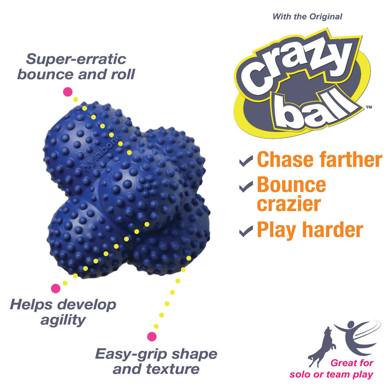 Nylabone Power Play Ball for Dogs Crazy Ball 1ea/Large/Giant Up To 50 Lbs. 1 ct