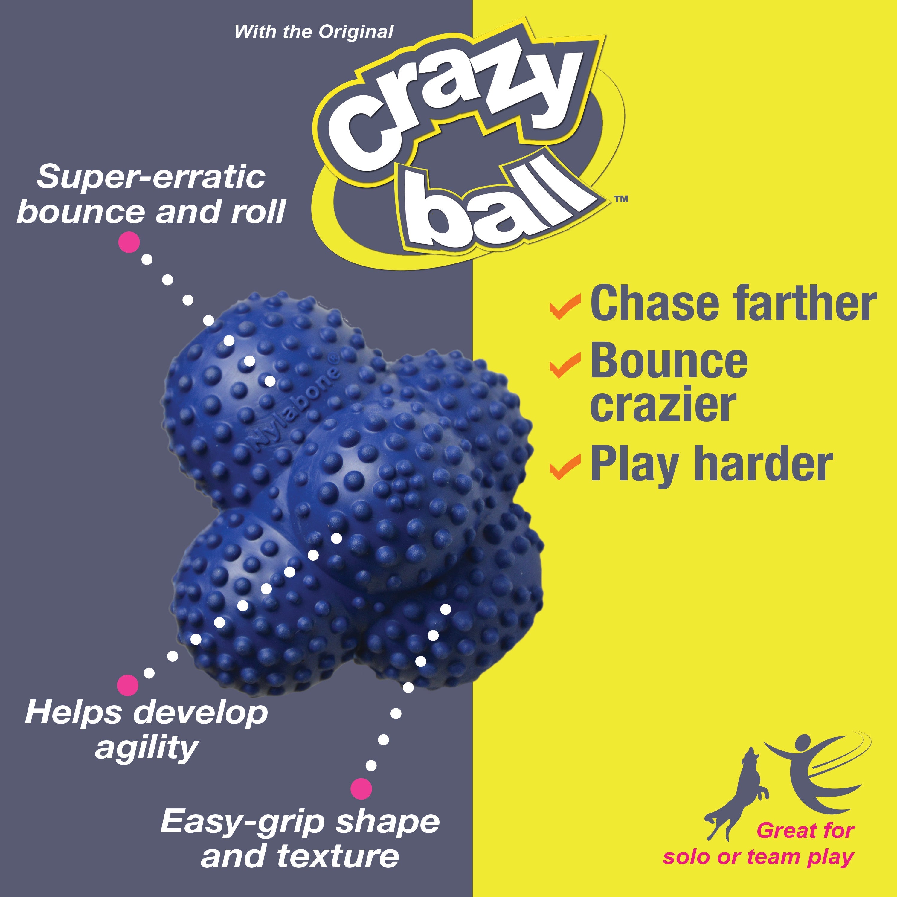 Nylabone Power Play Ball for Dogs Crazy Ball 1ea/Large/Giant Up To 50 Lbs. 1 ct