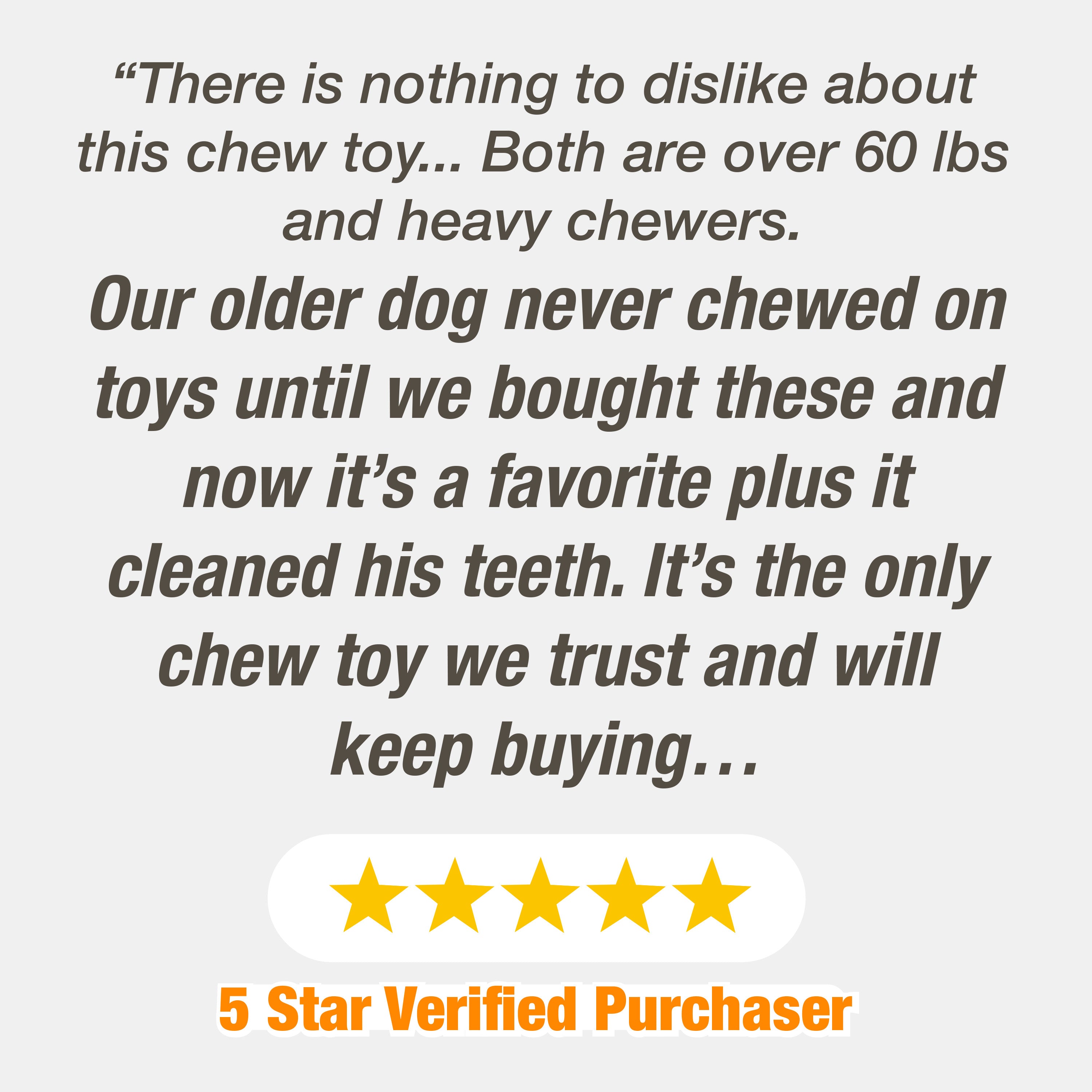 Nylabone Power Chew Textured Dog Ring Toy Flavor Medley, 1ea/SMall/Regular Up To 25 Ibs. 1 ct