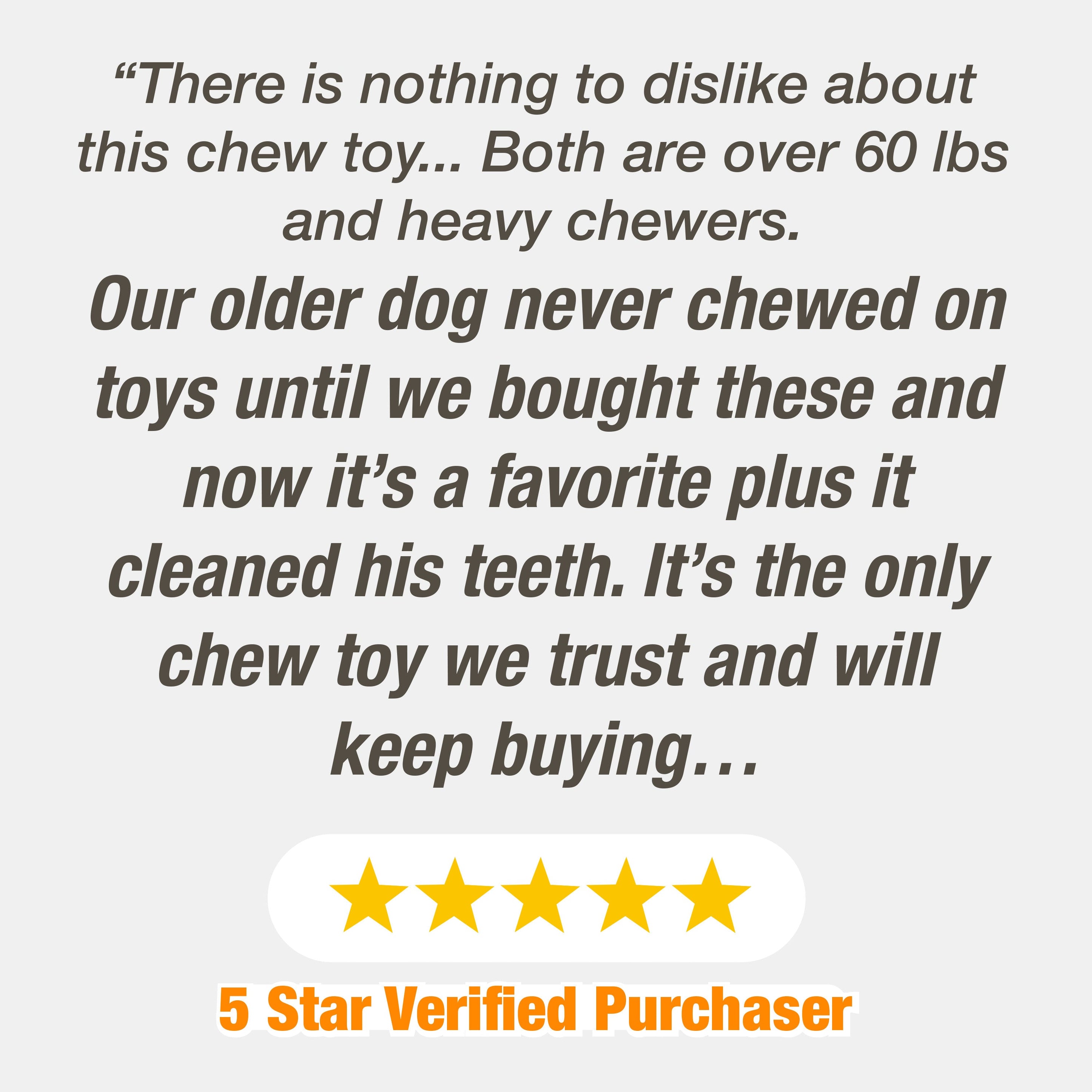 Nylabone Power Chew Textured Dog Ring Toy Flavor Medley, 1ea/SMall/Regular Up To 25 Ibs. 1 ct