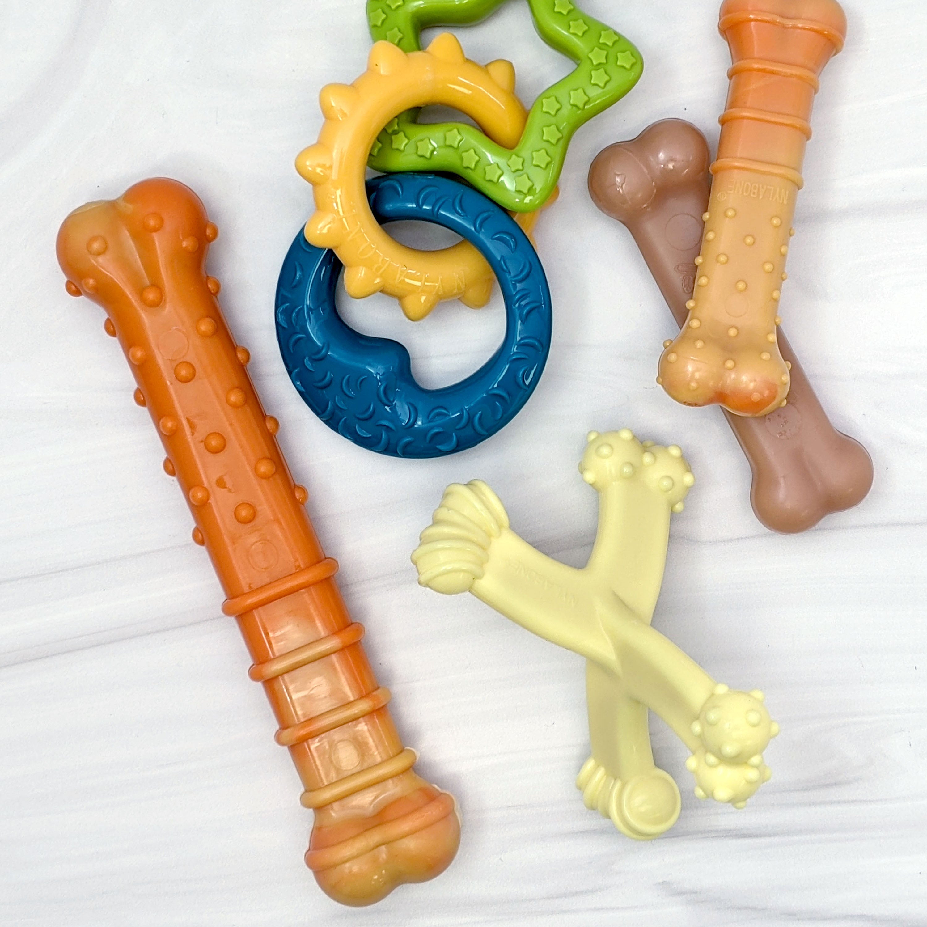 Nylabone Puppy Power Chew Axis Bone Nylon Chew Toy Vanilla, 1ea/SMall/Regular Up To 25 Ibs. 1 ct