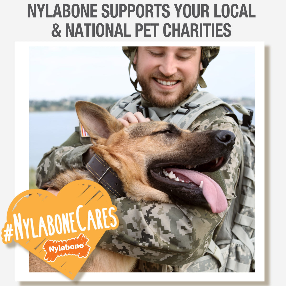 Nylabone Natural Nubz Dog Treats, AllergenFree Peanut Butter Peanut Butter, Jumbo Up To 50 Lbs. 2 ct